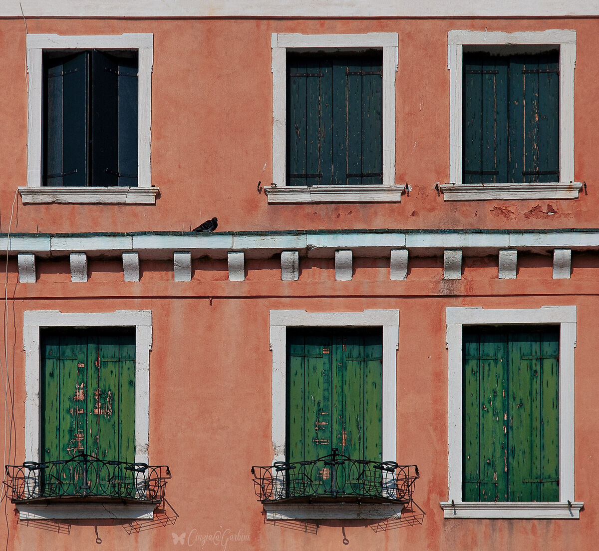 6 finestre con ospite