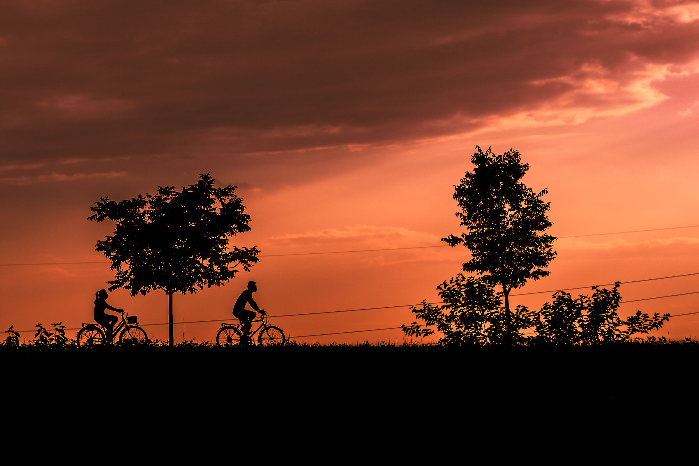 Bicycles at sunset