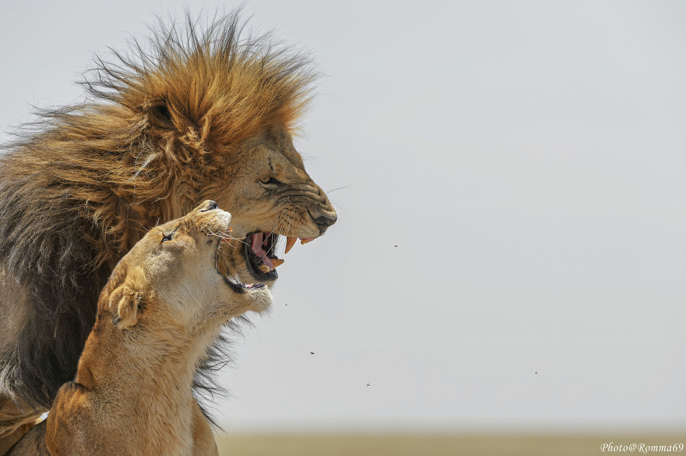 "Electrifying" moment