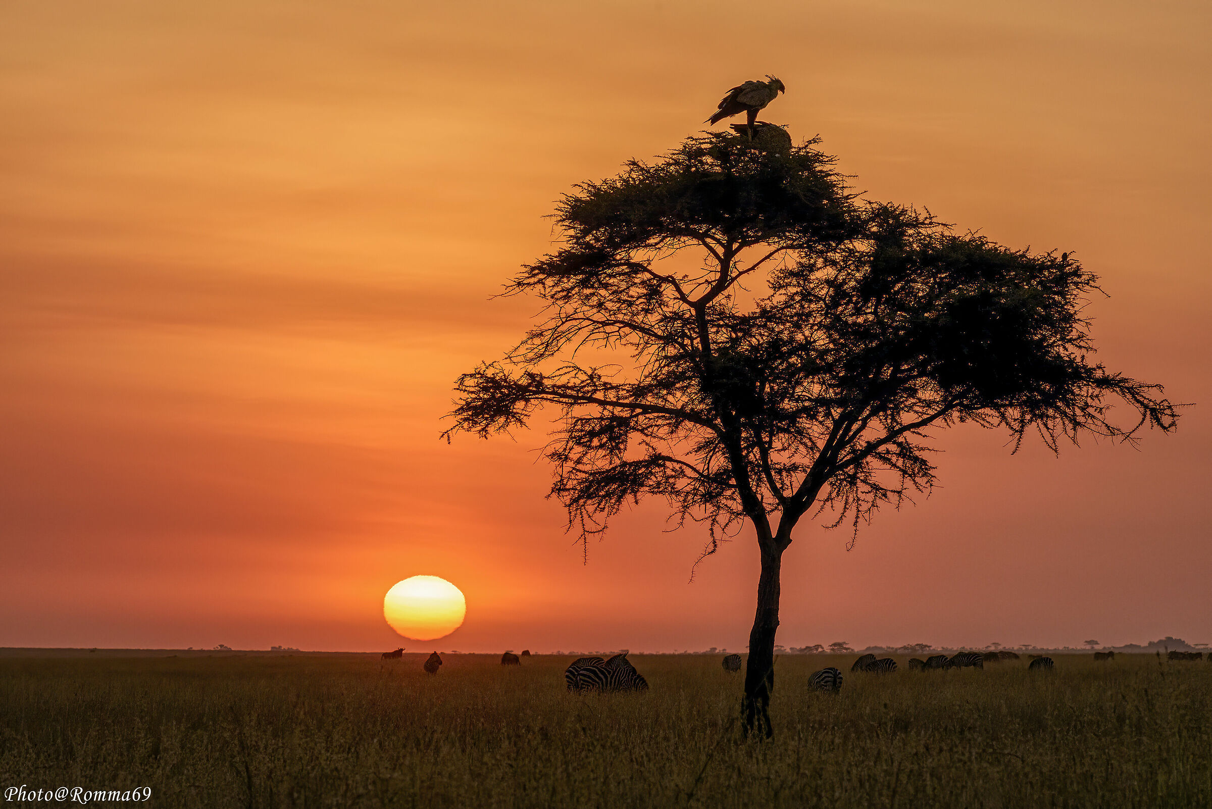 African sunrise