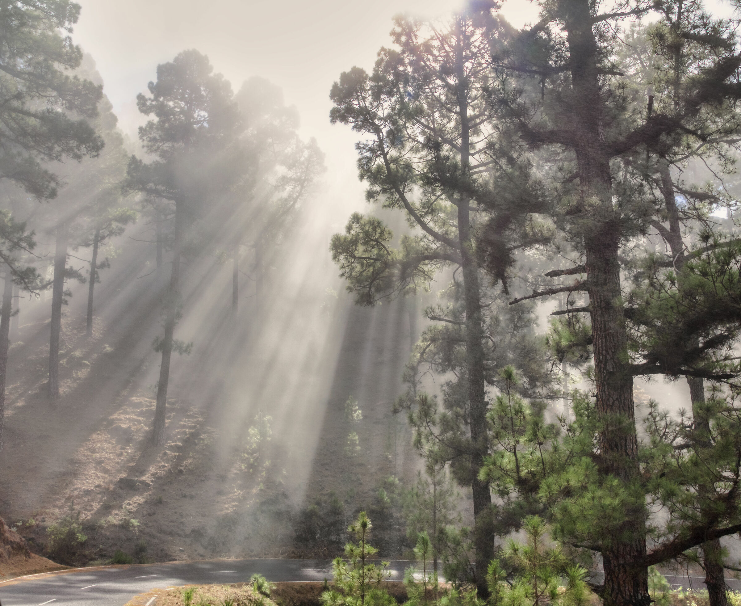 Filtered light