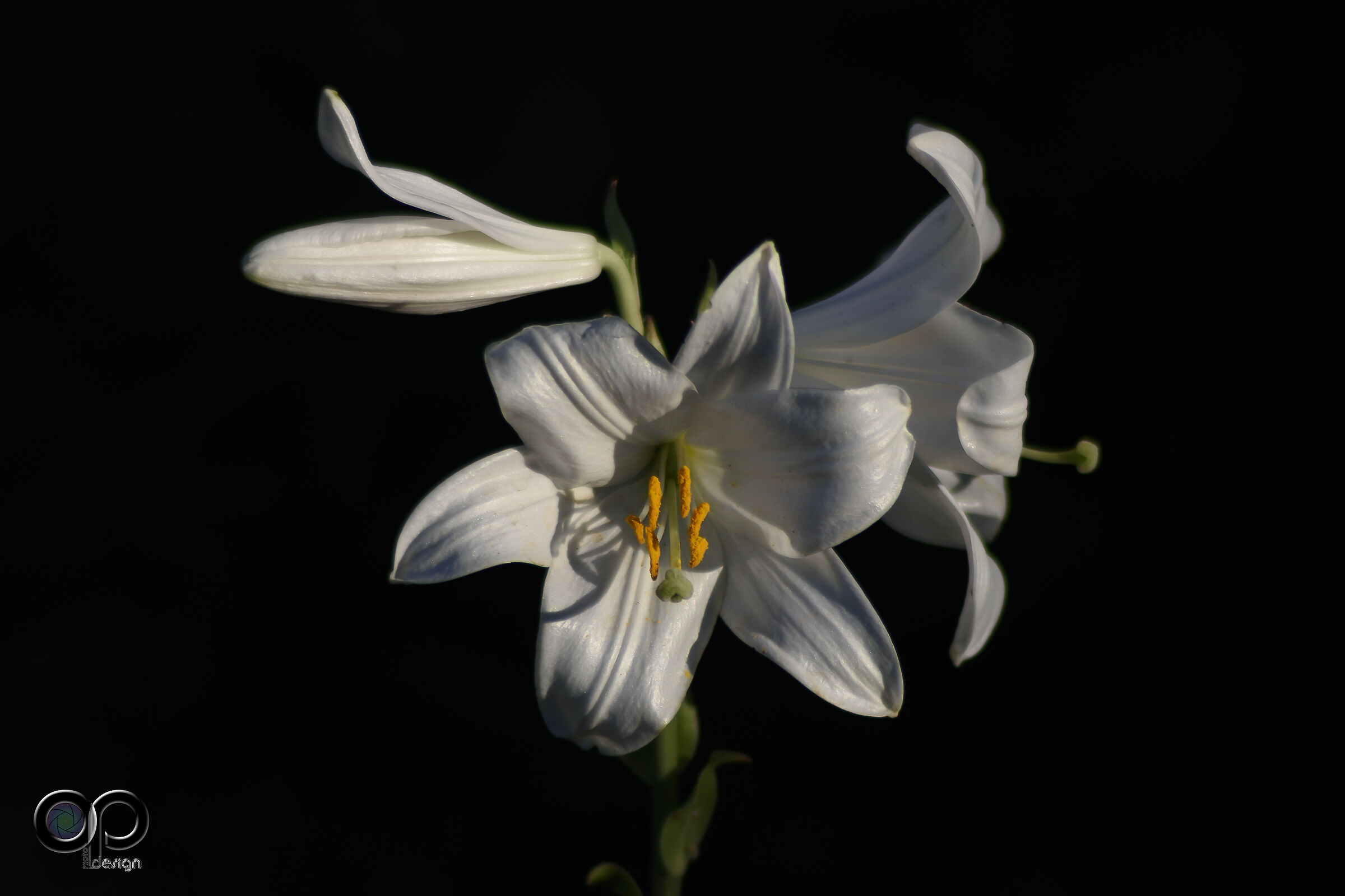Hanimex 300mm F4