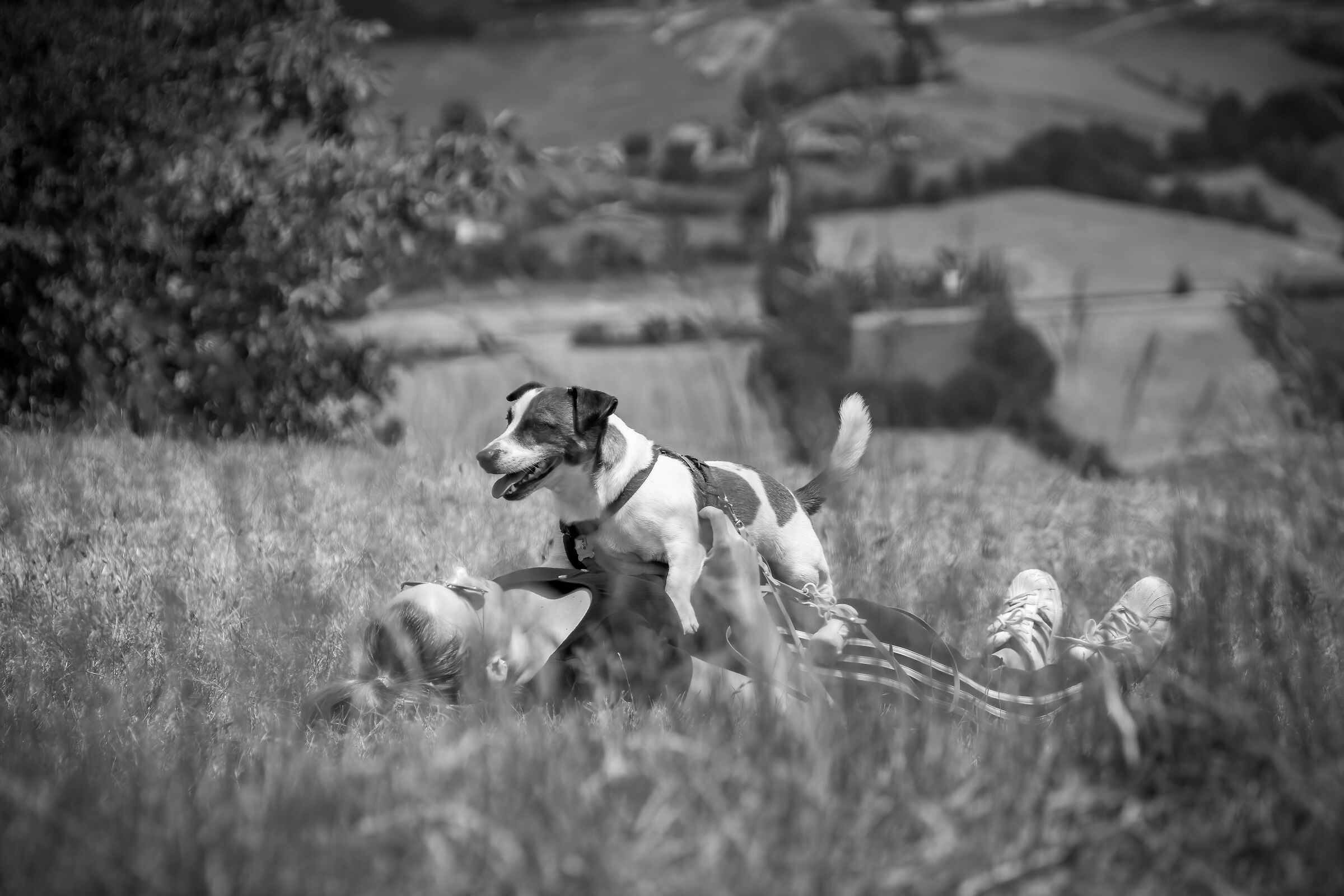 Ziggy e Lucia al decollo parapendii Monfestino