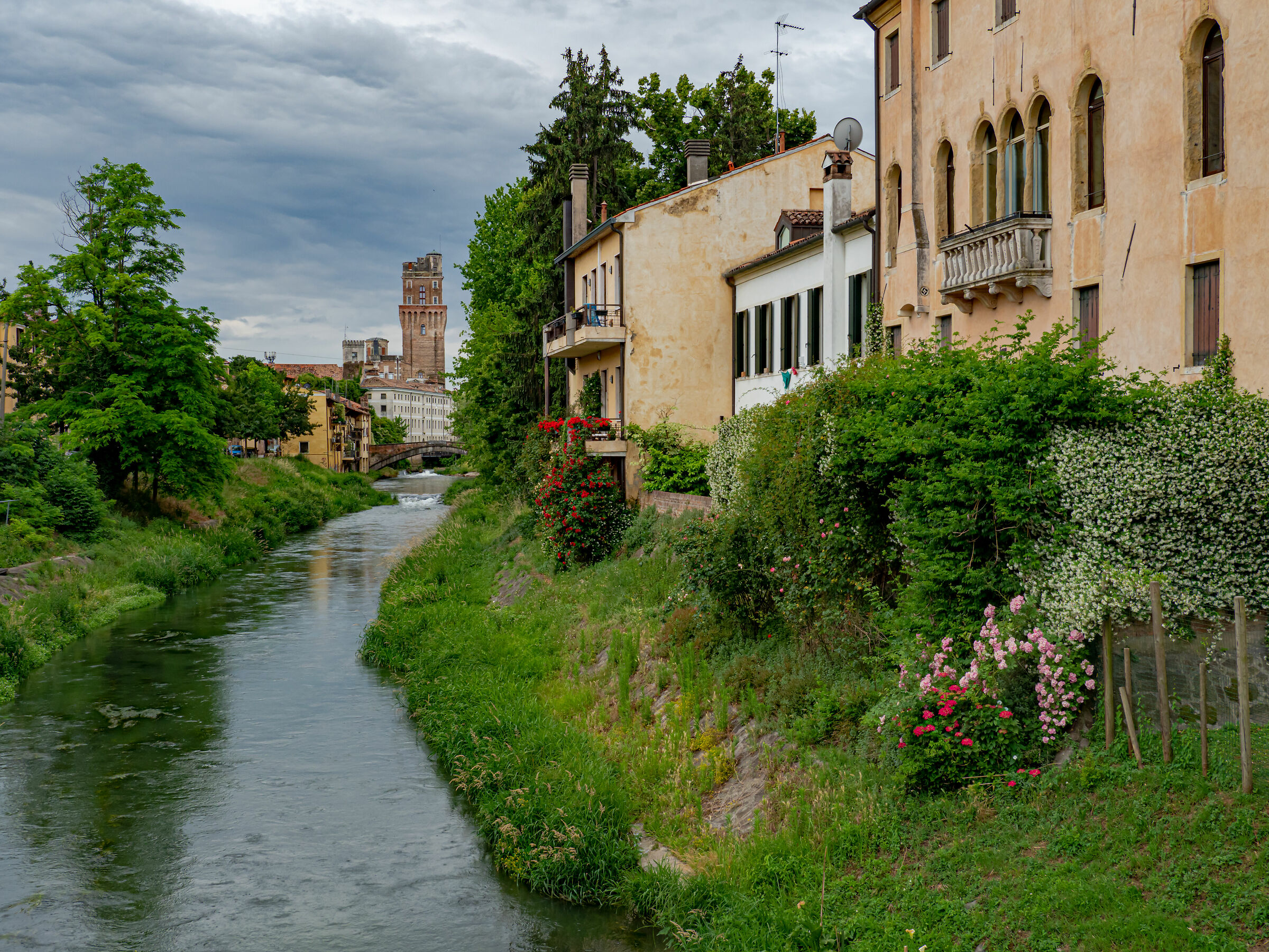 osservatorio astronomico specola Padova