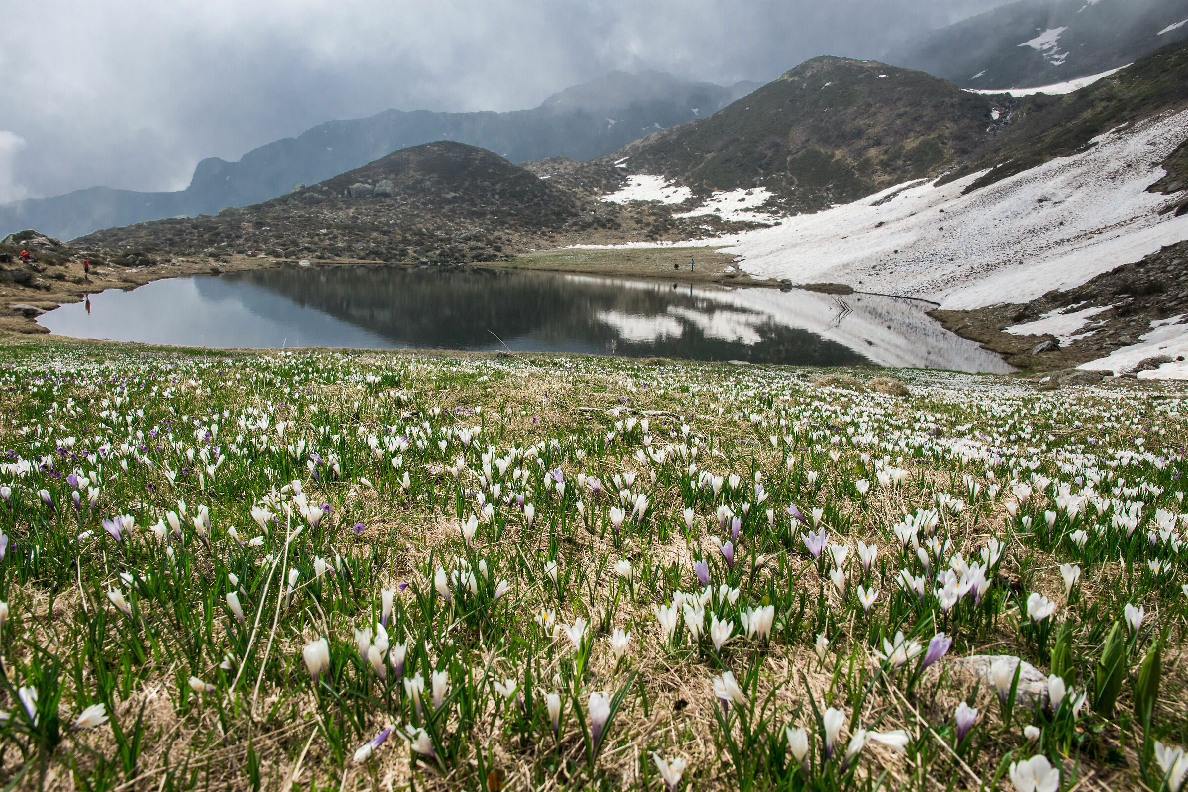 Laghi di Cardeto
