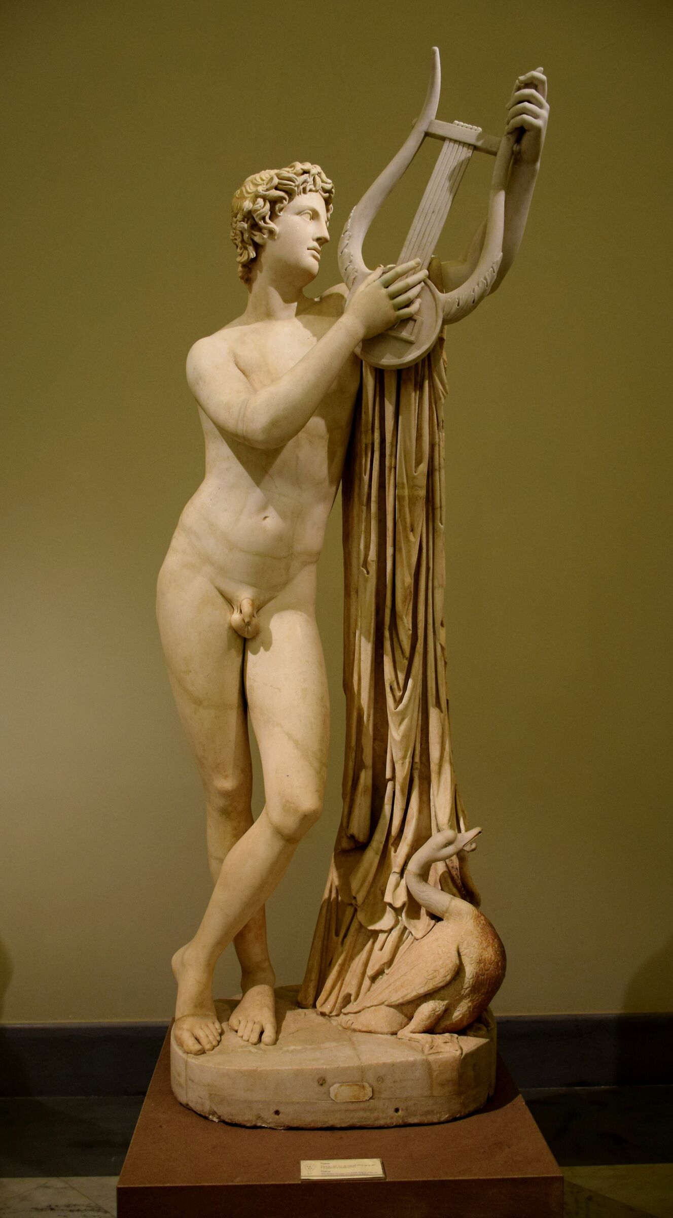 Museo Archeologico "Photos"