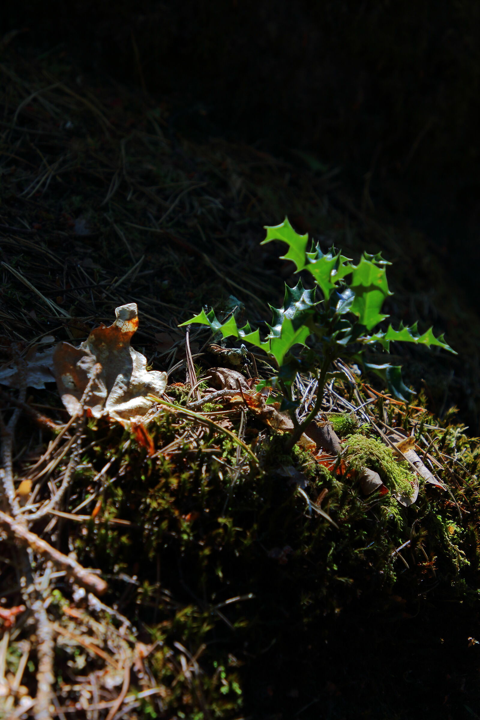 Untitled Photo