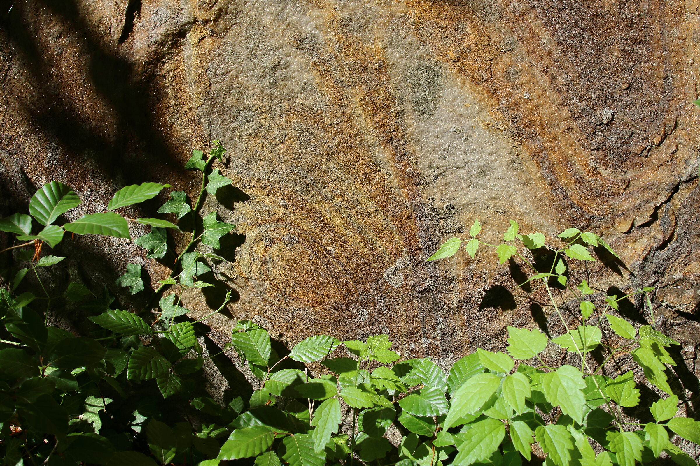 Untitled Photo