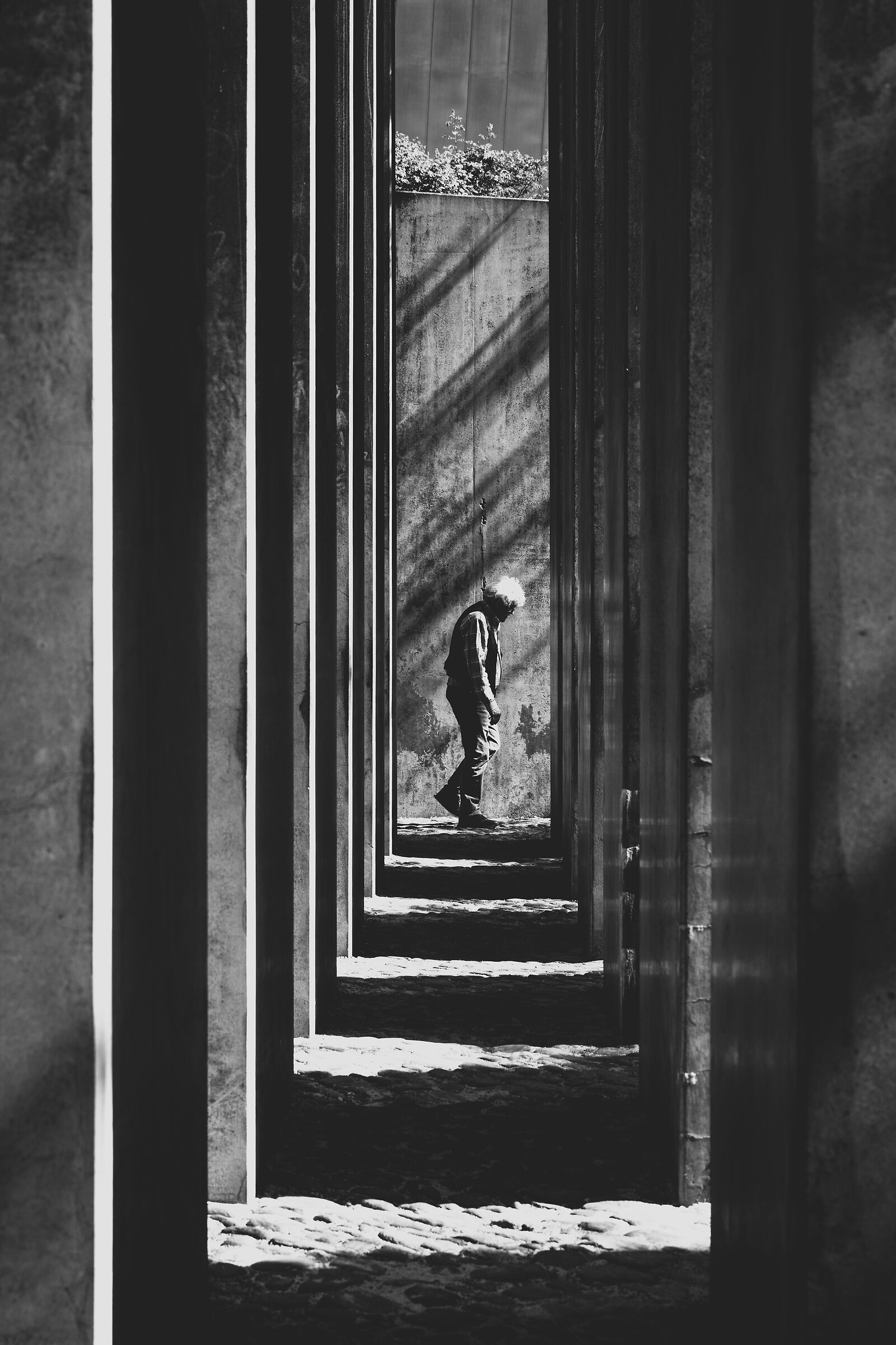 The Garden of Exile, Berlin