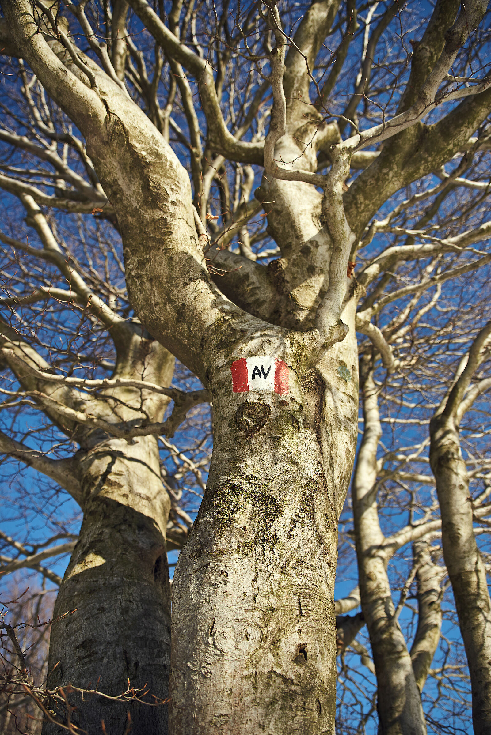 Alta Via dei Monti Liguri