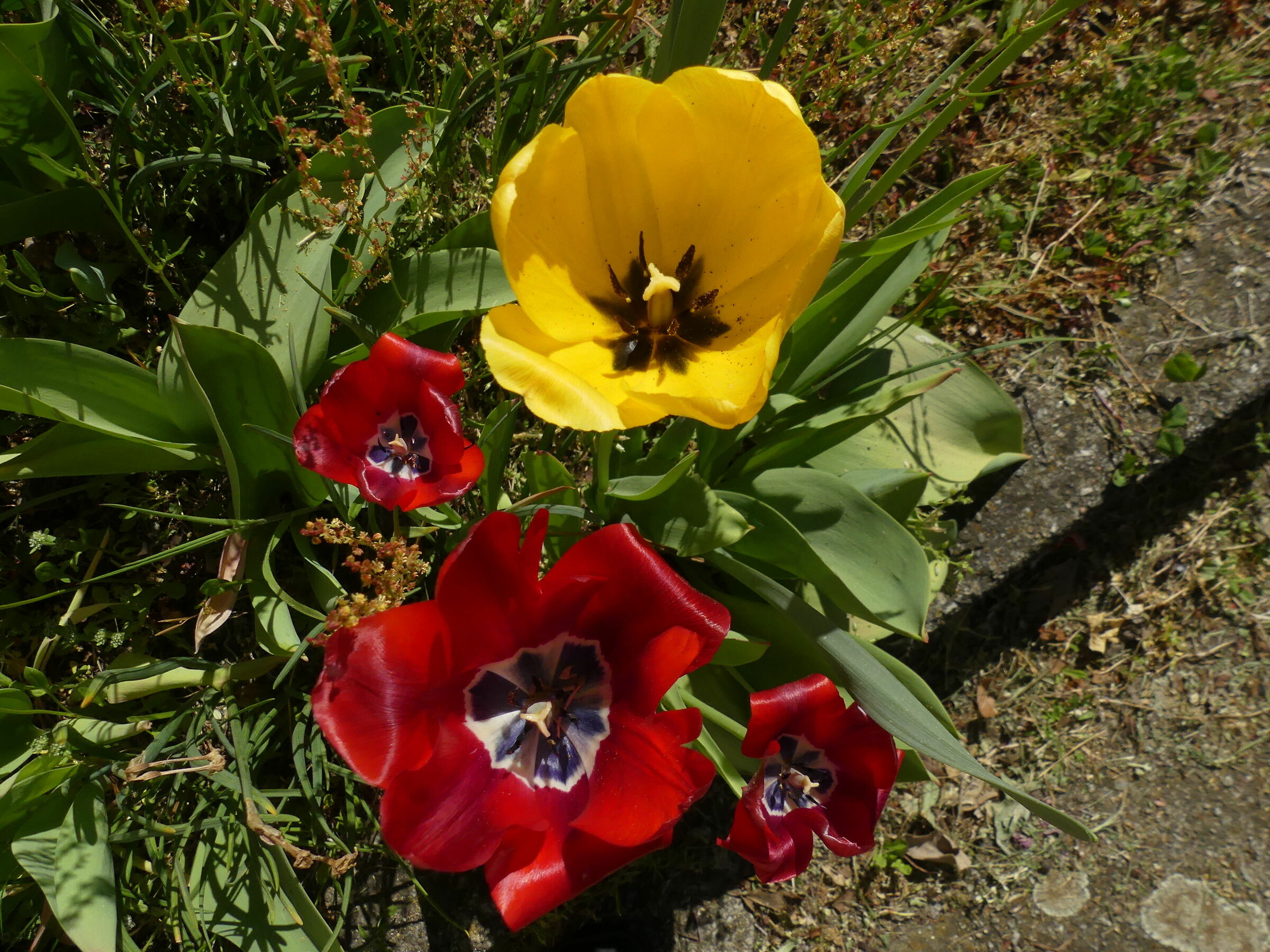 Untitled Photo
