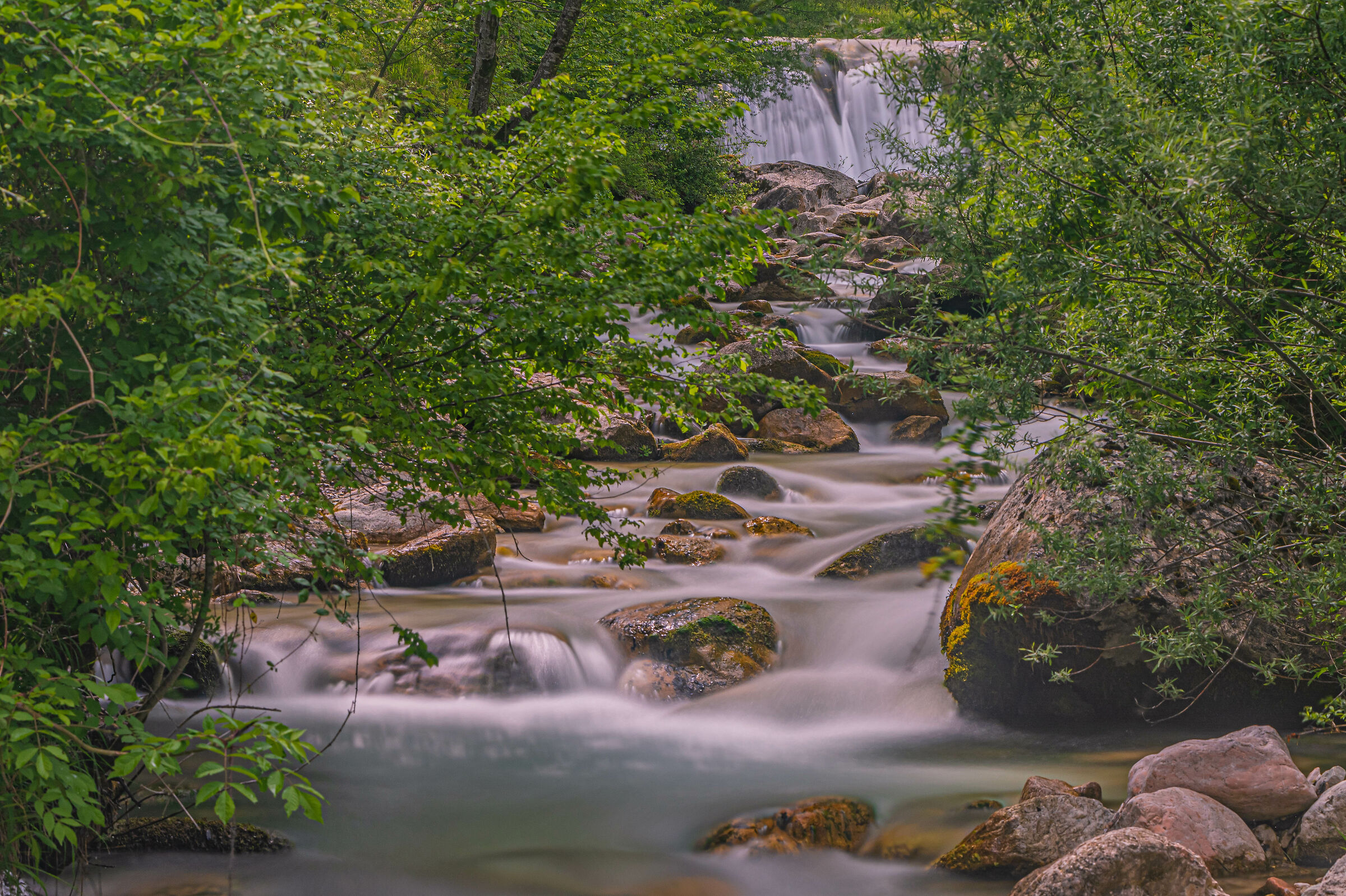Immersi nella natura...