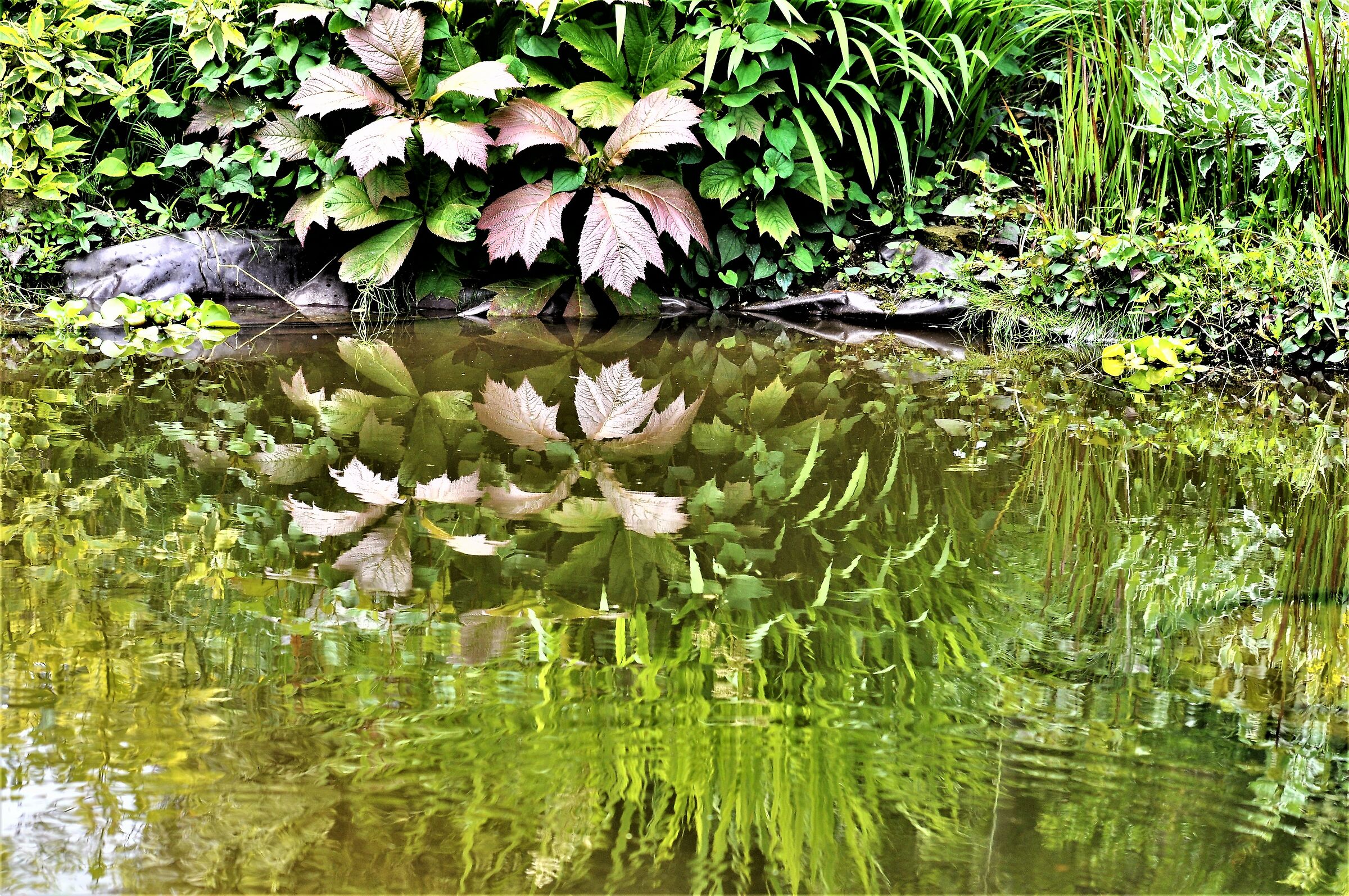 ..riflessi...villa Bricherasio Saluzzo