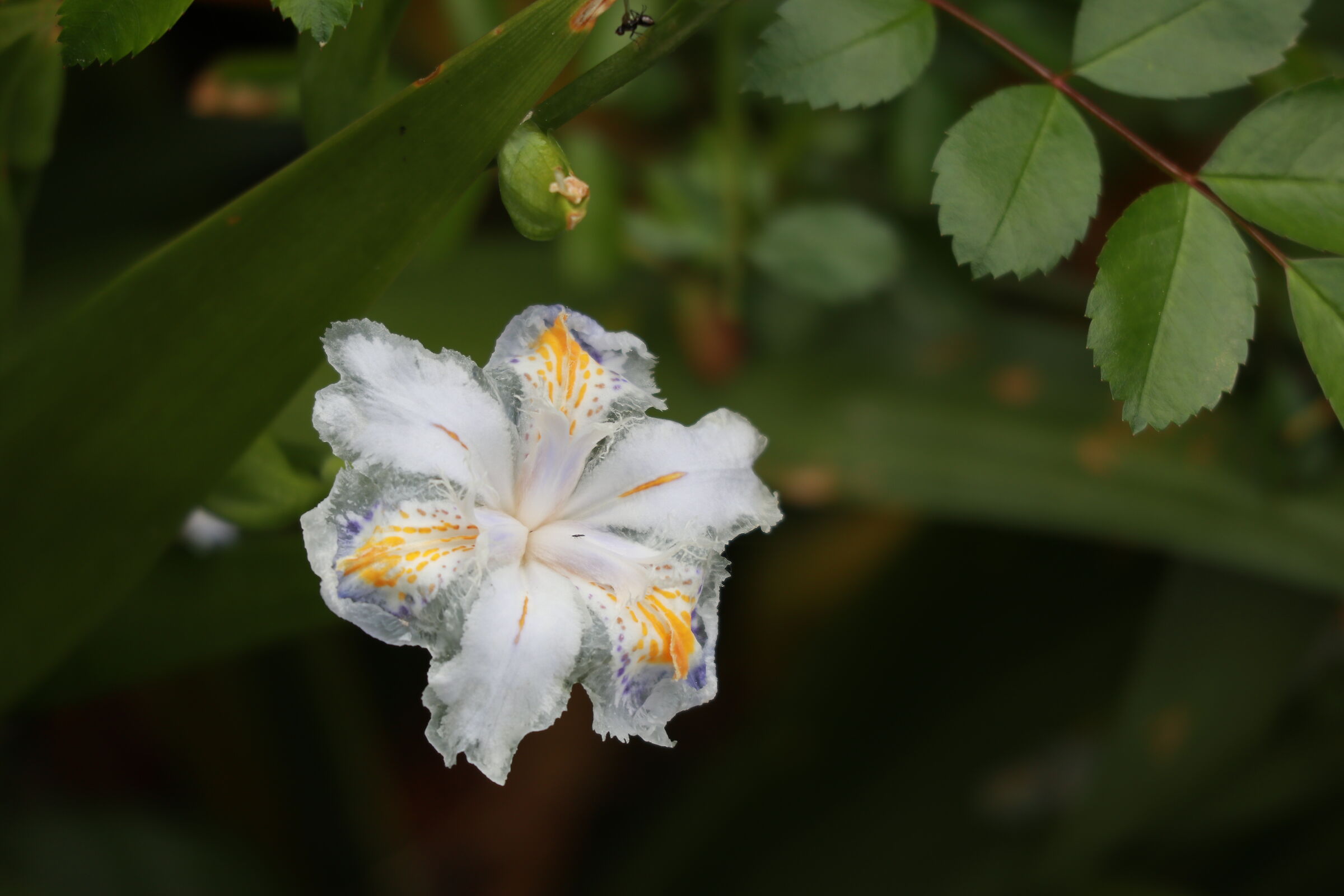 Untitled Photo