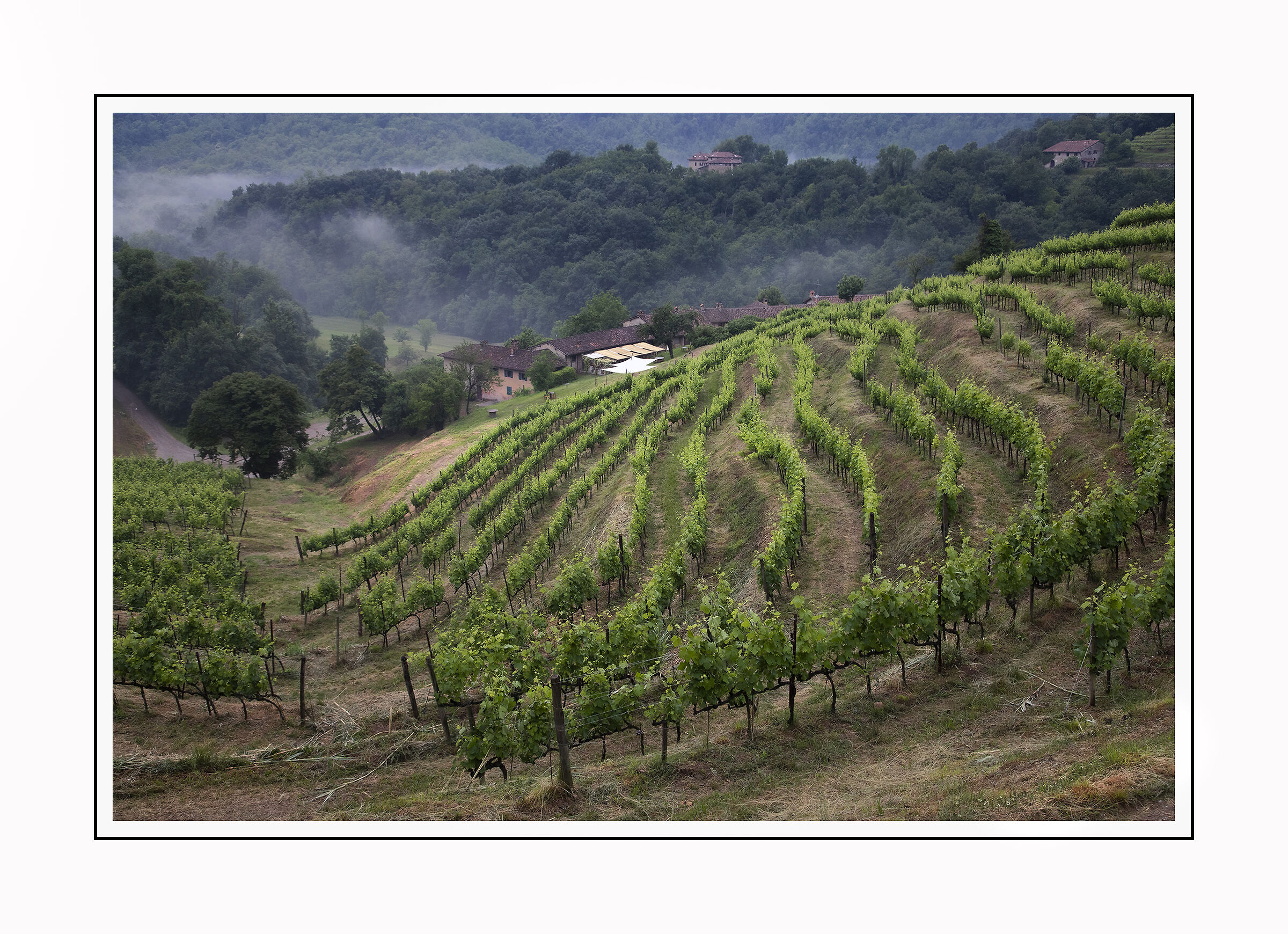 Valle del Curone