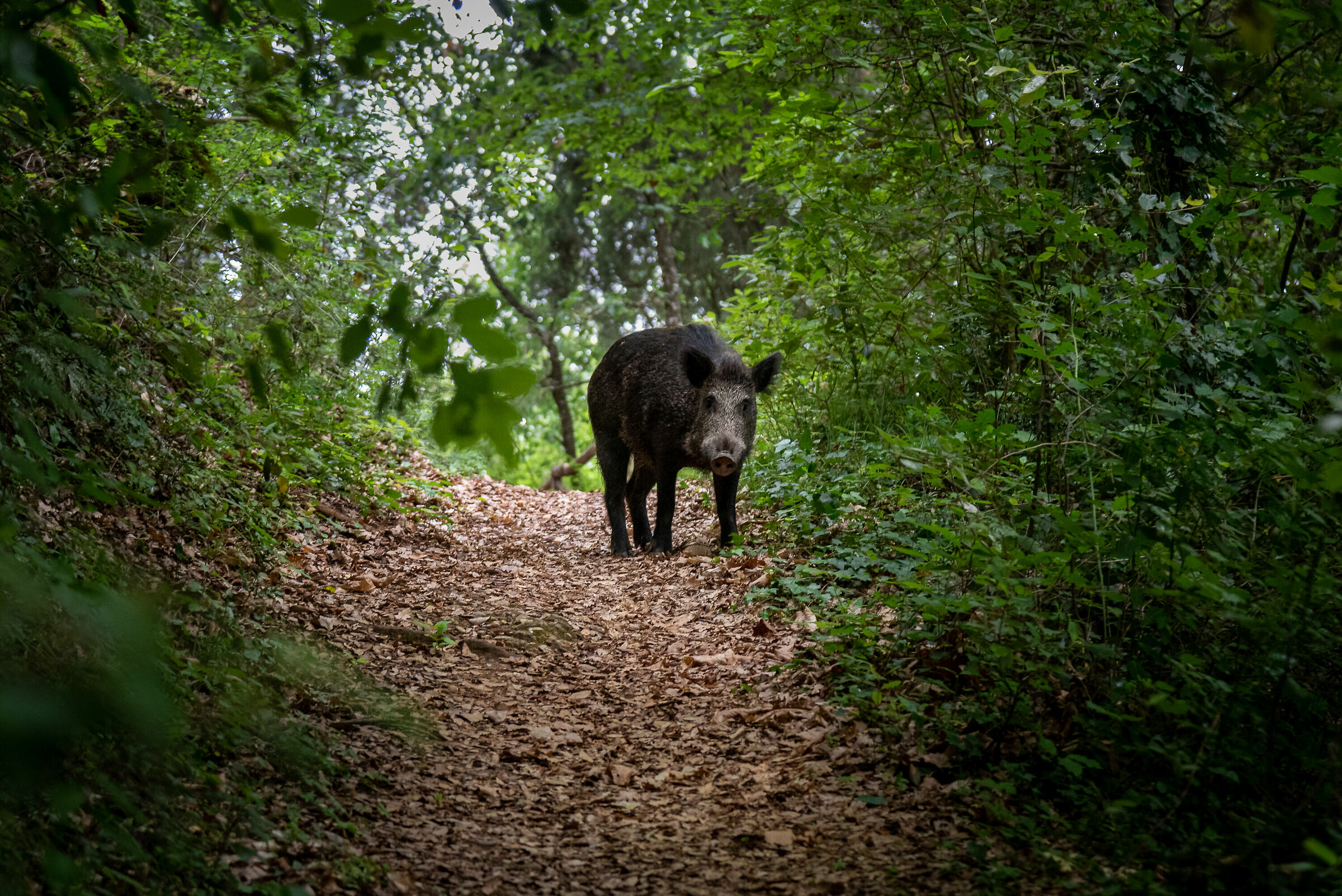 Incontri molto casuali