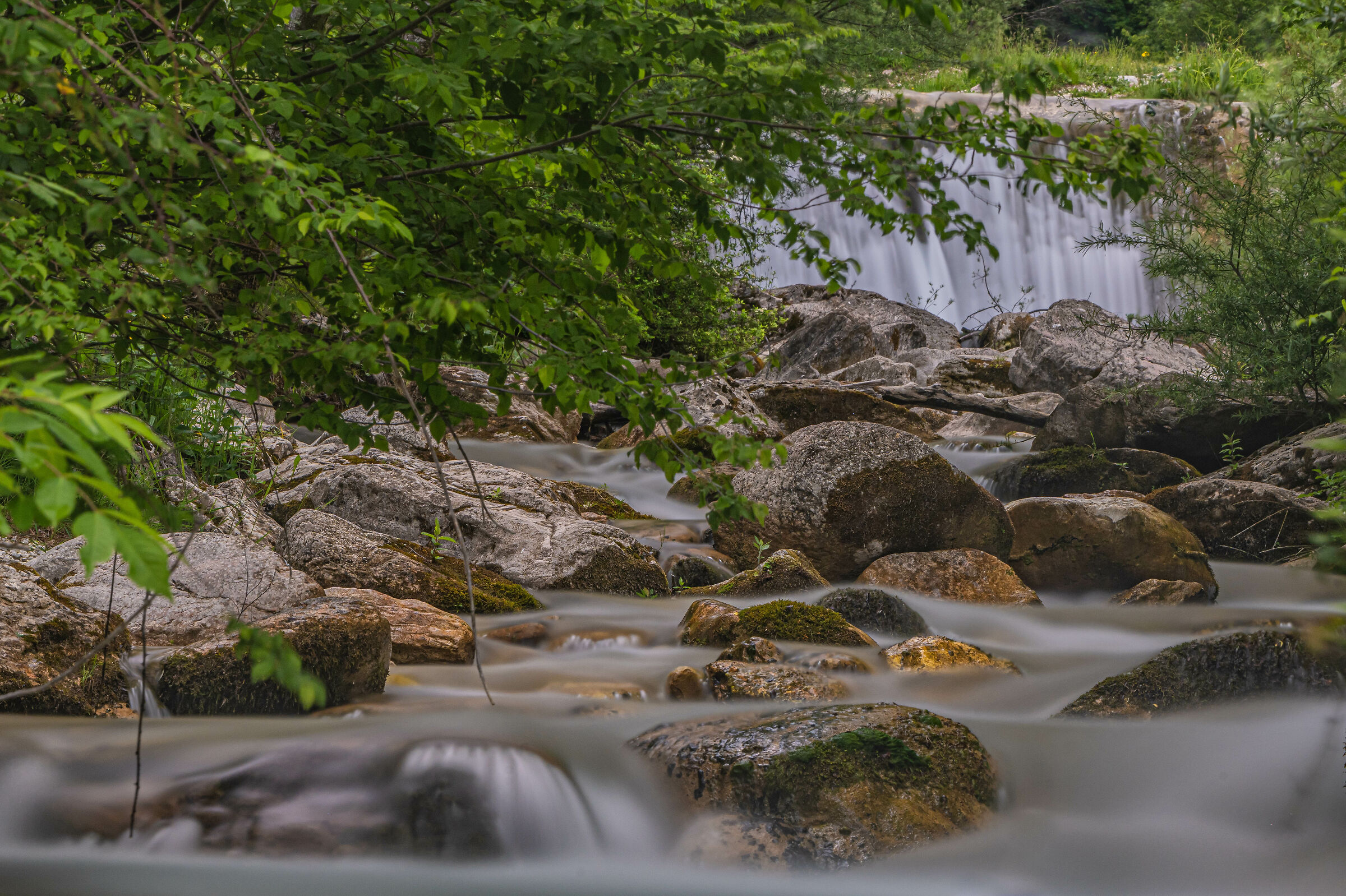 Immersi nella natura