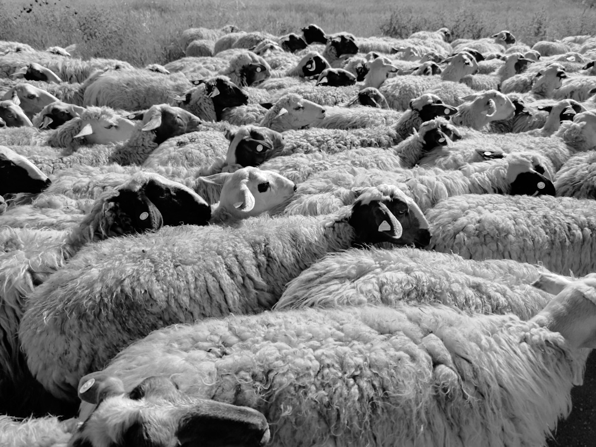 When you walk and you're in the middle of.