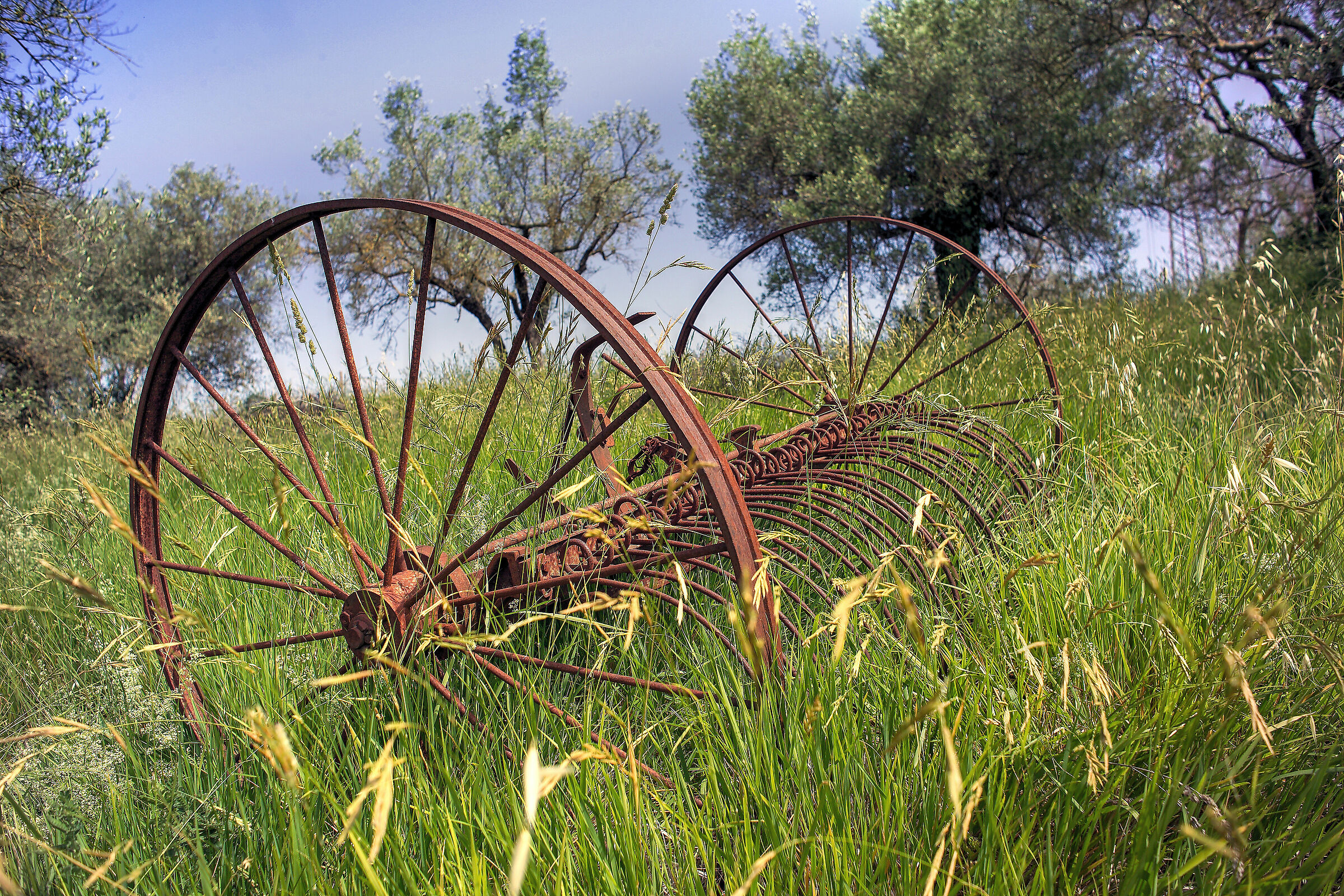 Test 28mm 3.5 AI with chip