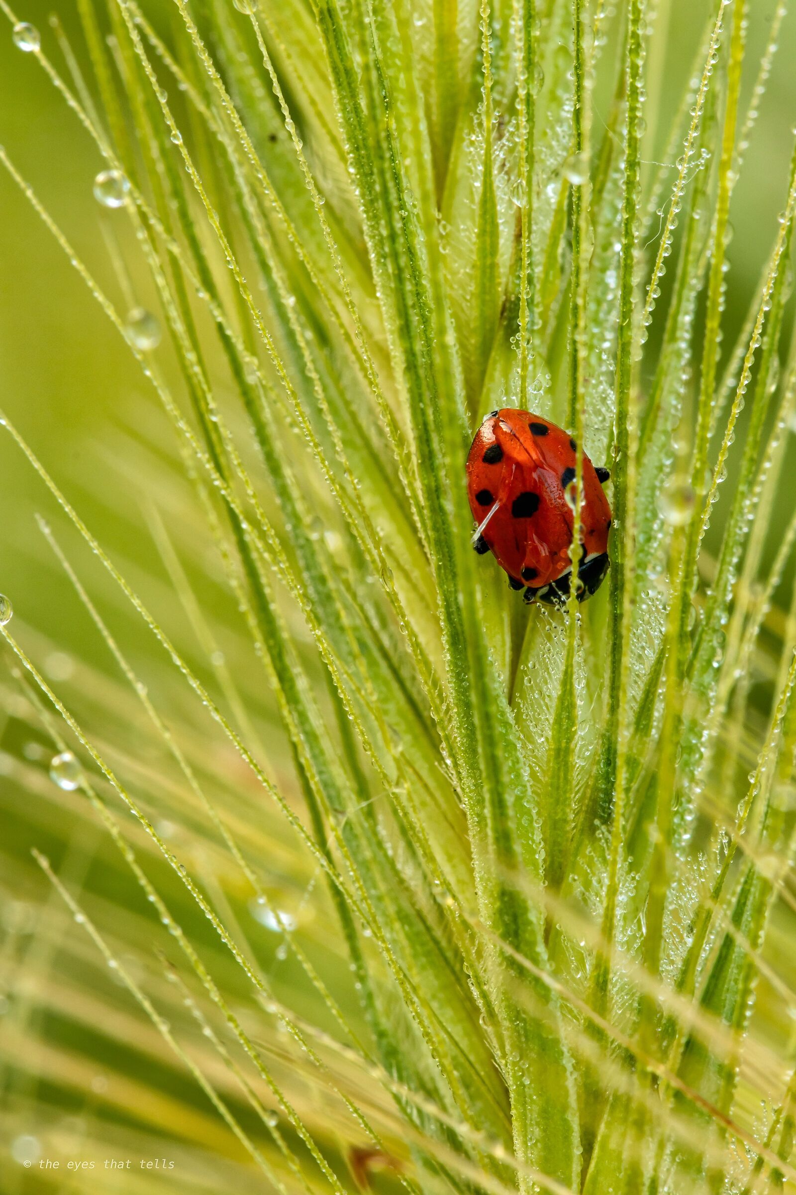 When it's said to sleep comfortably