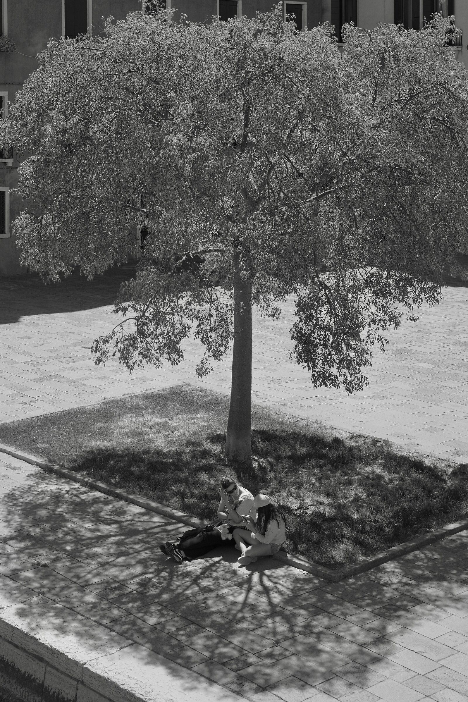 Everything is connected