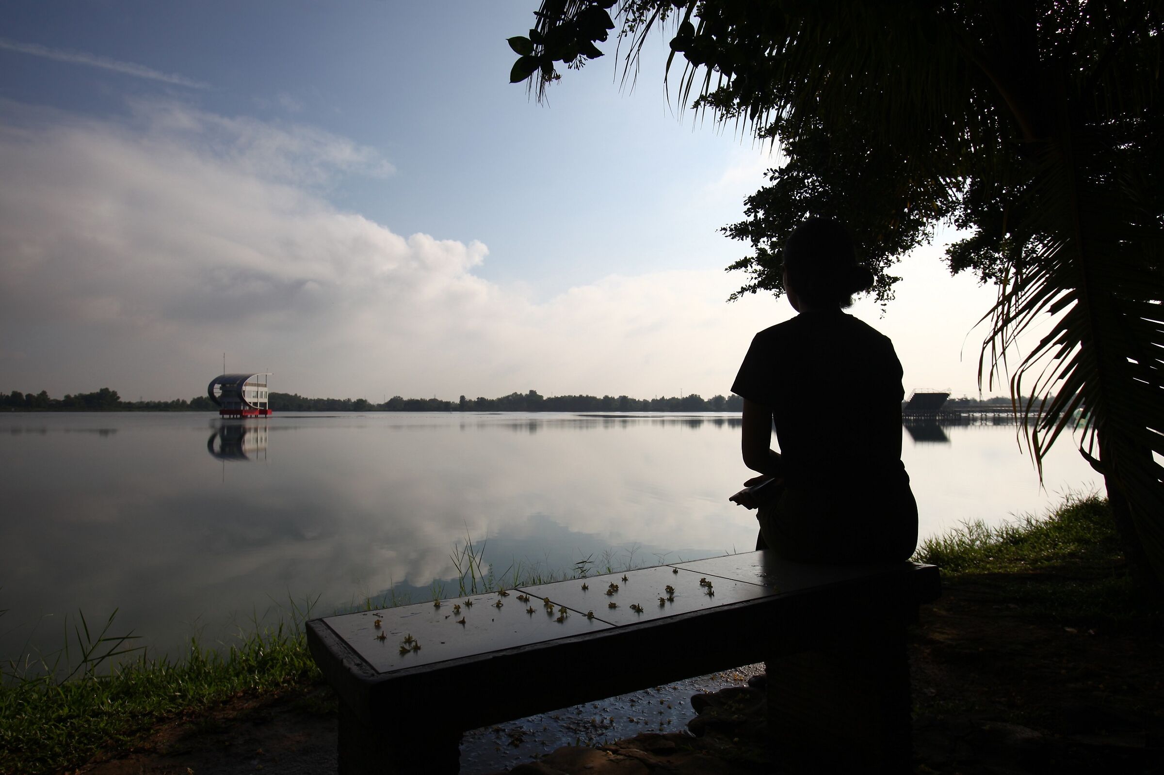 Salshabla sul laghetto di Palembang
