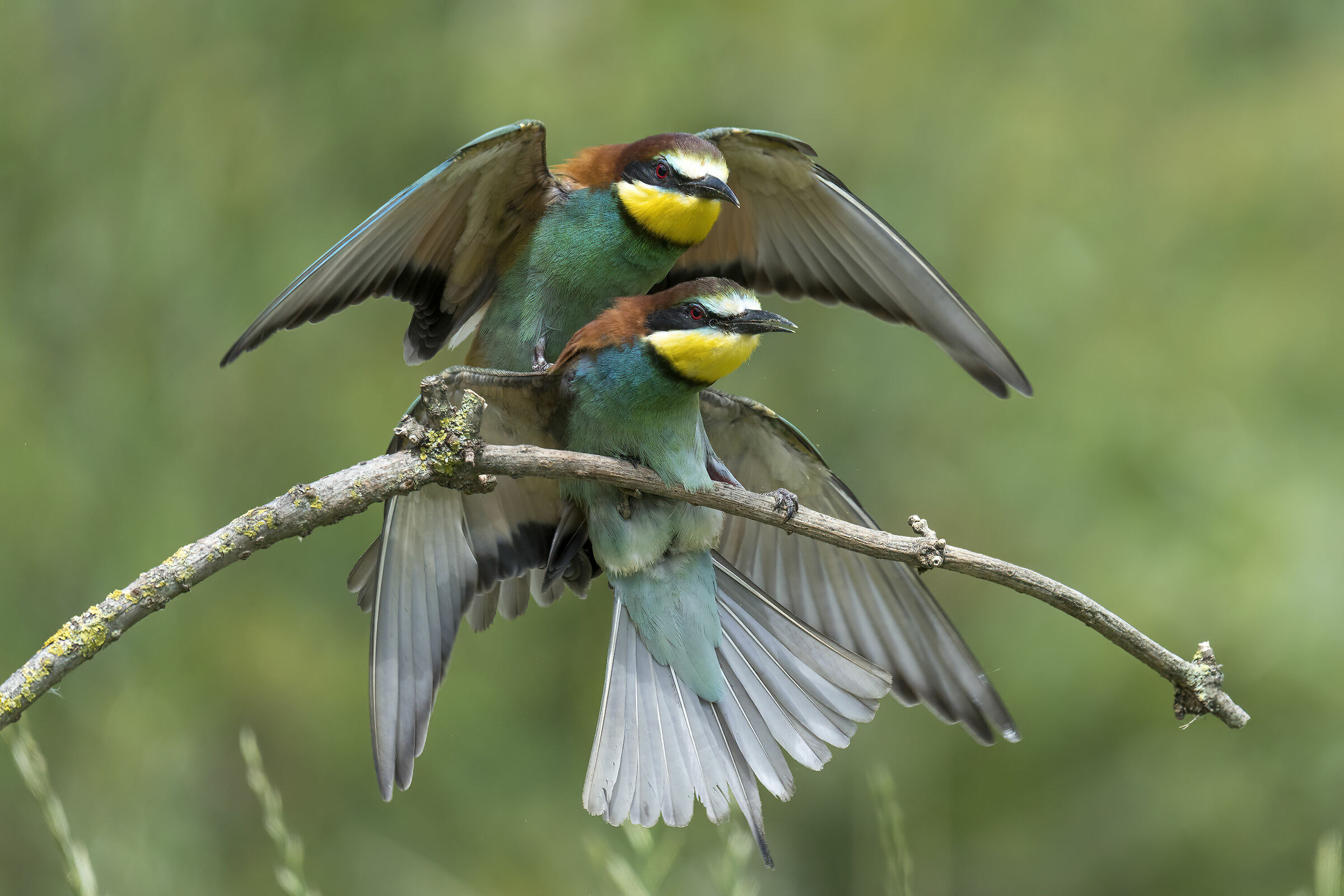 In equilibrio precario...