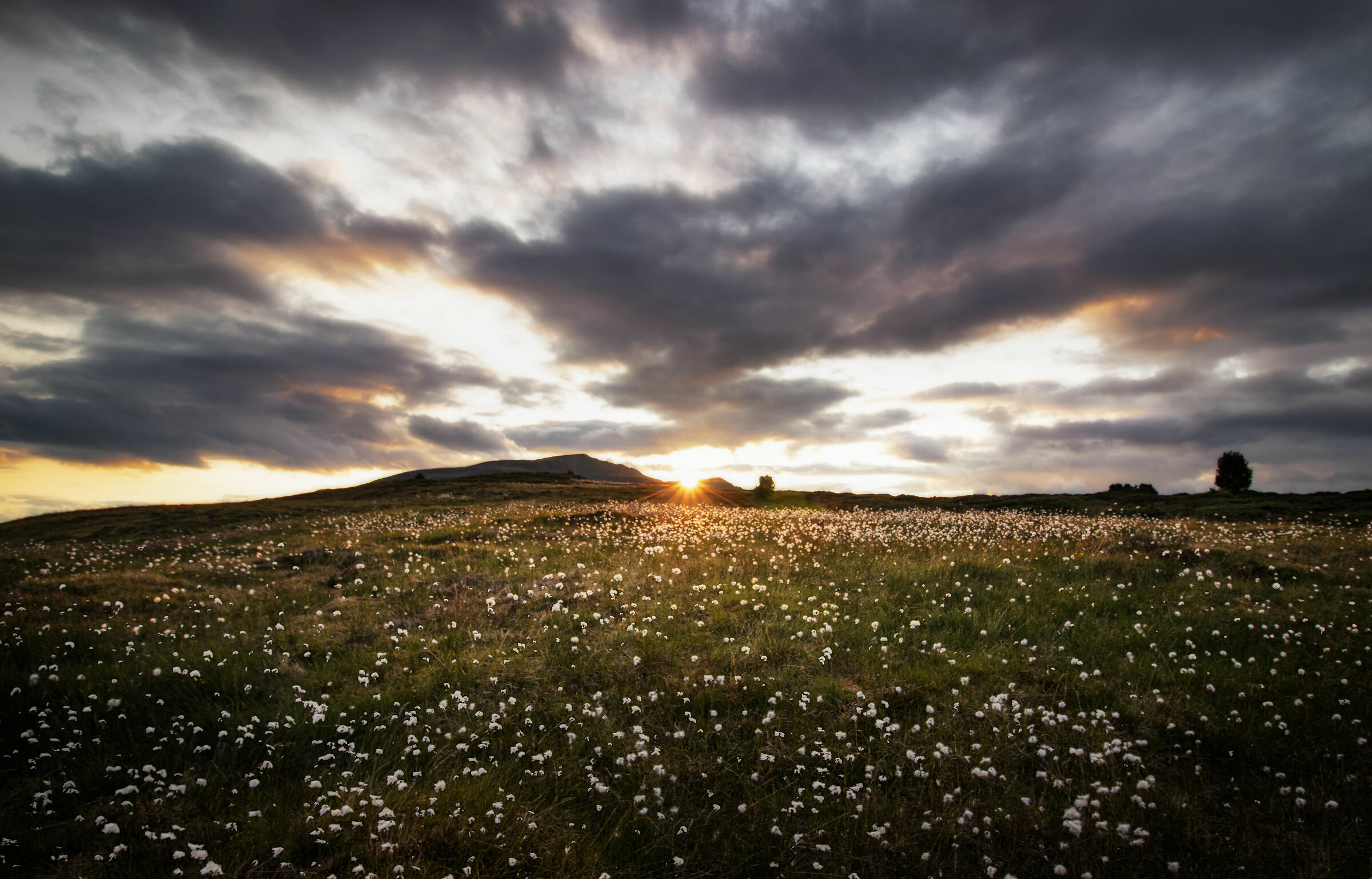 Tramonto al Passo delle Erbe