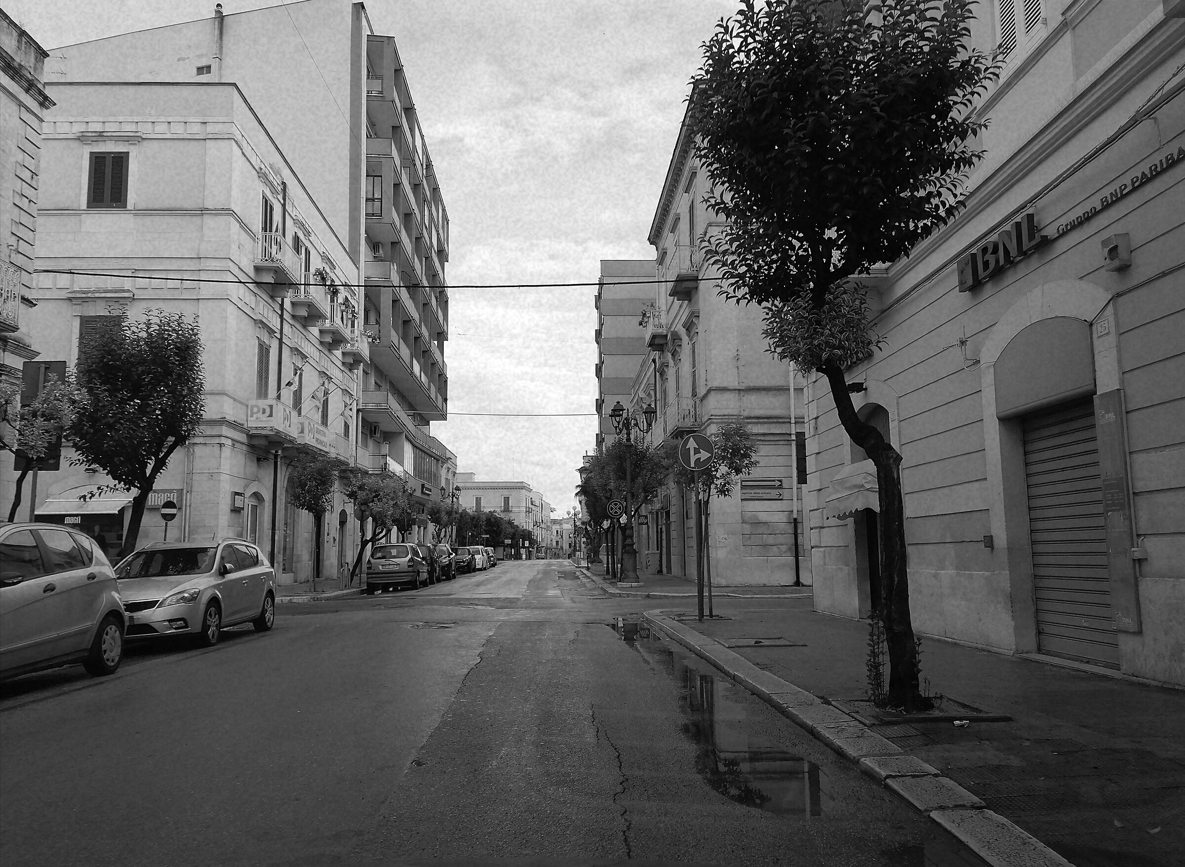 Domenica mattina