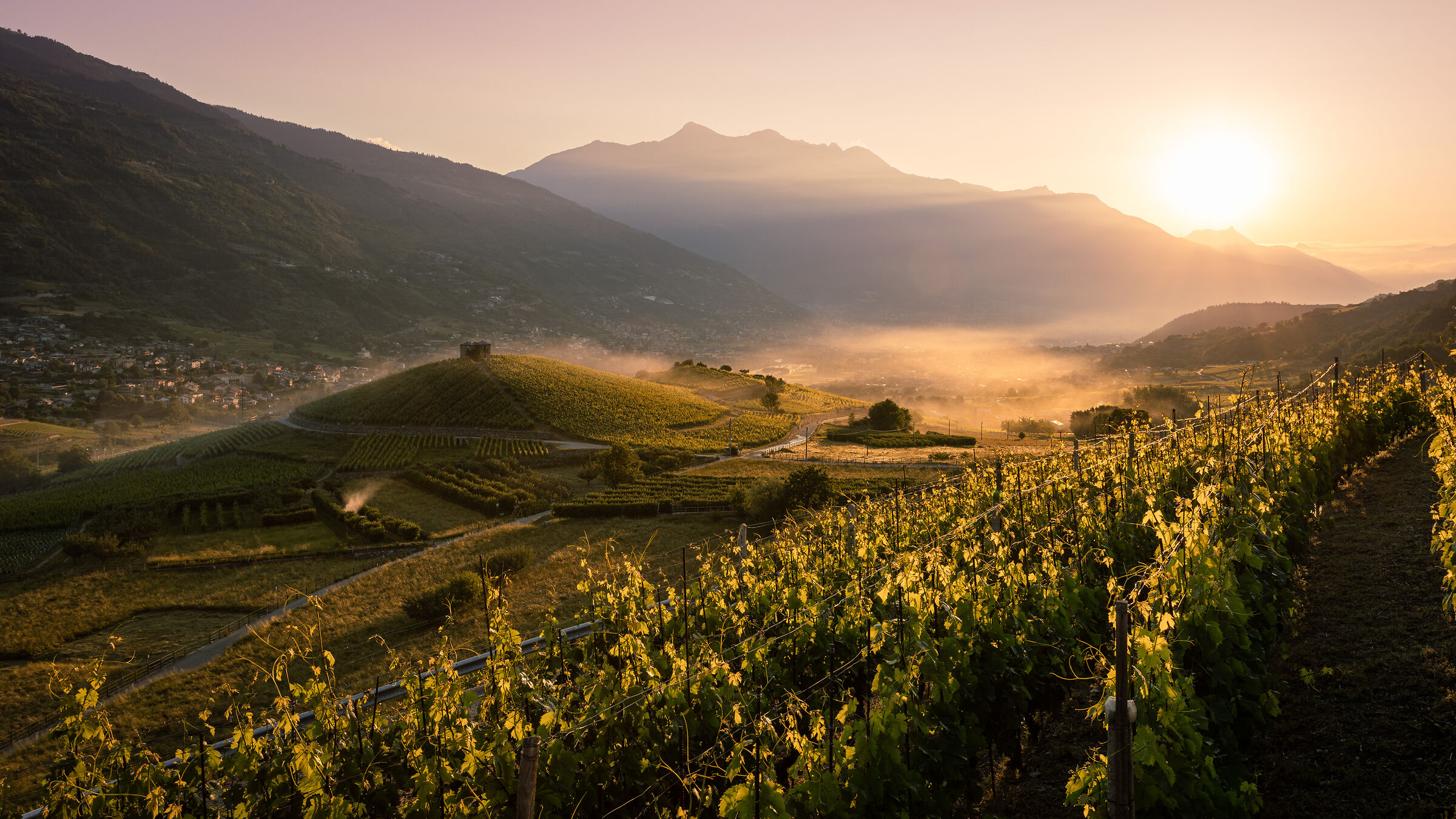 La prima carezza sulle vigne