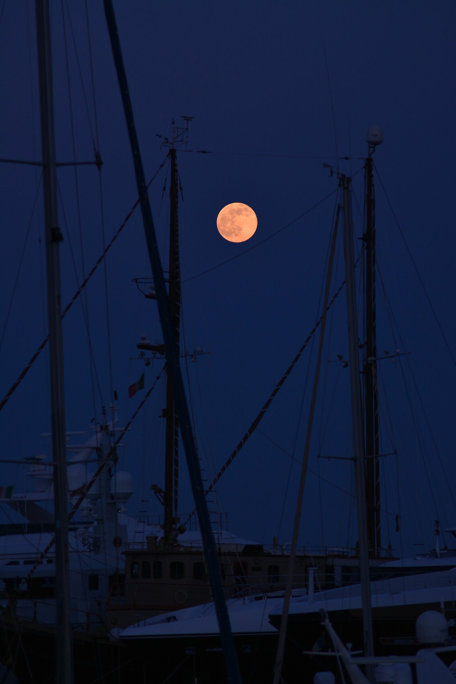 In the moonlight
