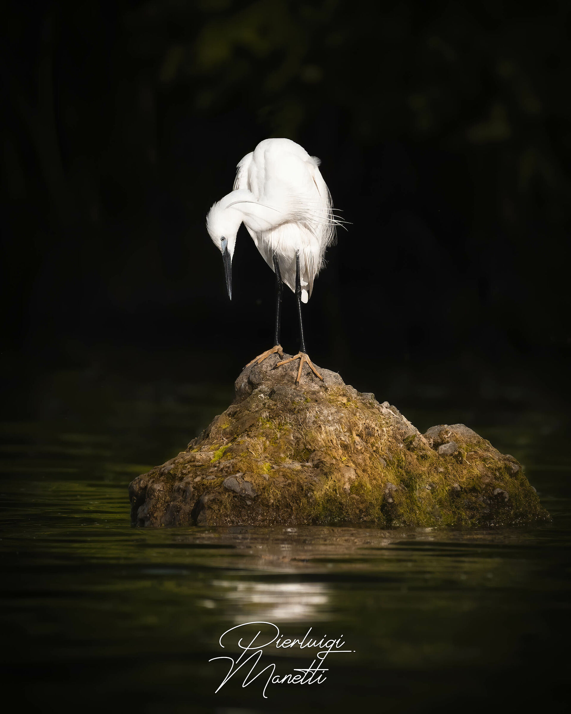 Le onde del riflesso