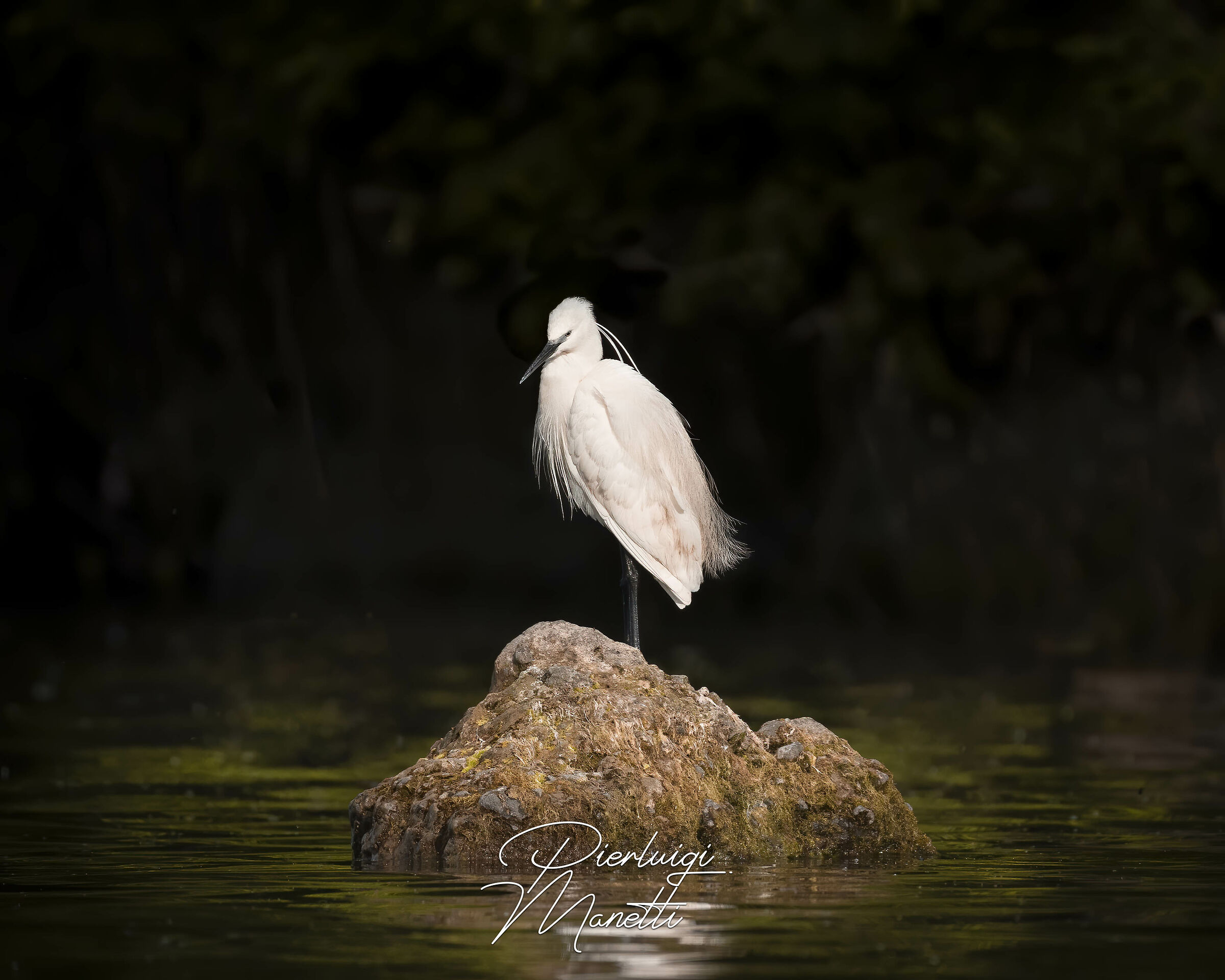 Momenti di riflessioni nelle tenebre