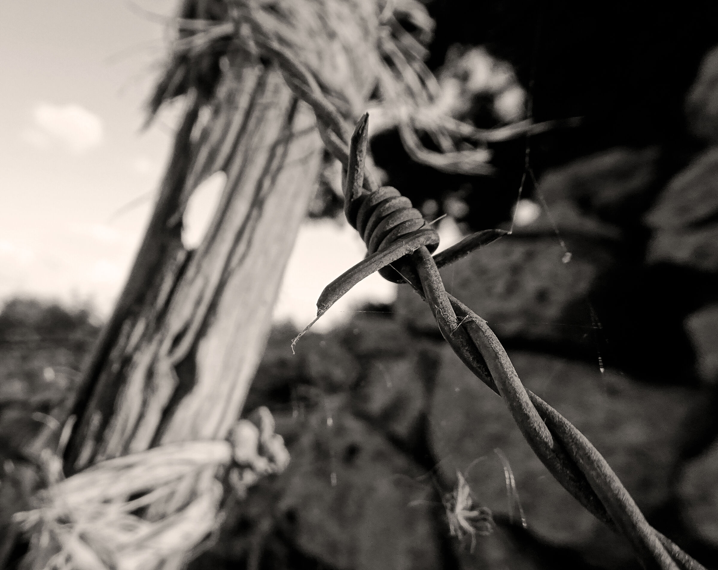 non mi toccare! distanziamento sociale