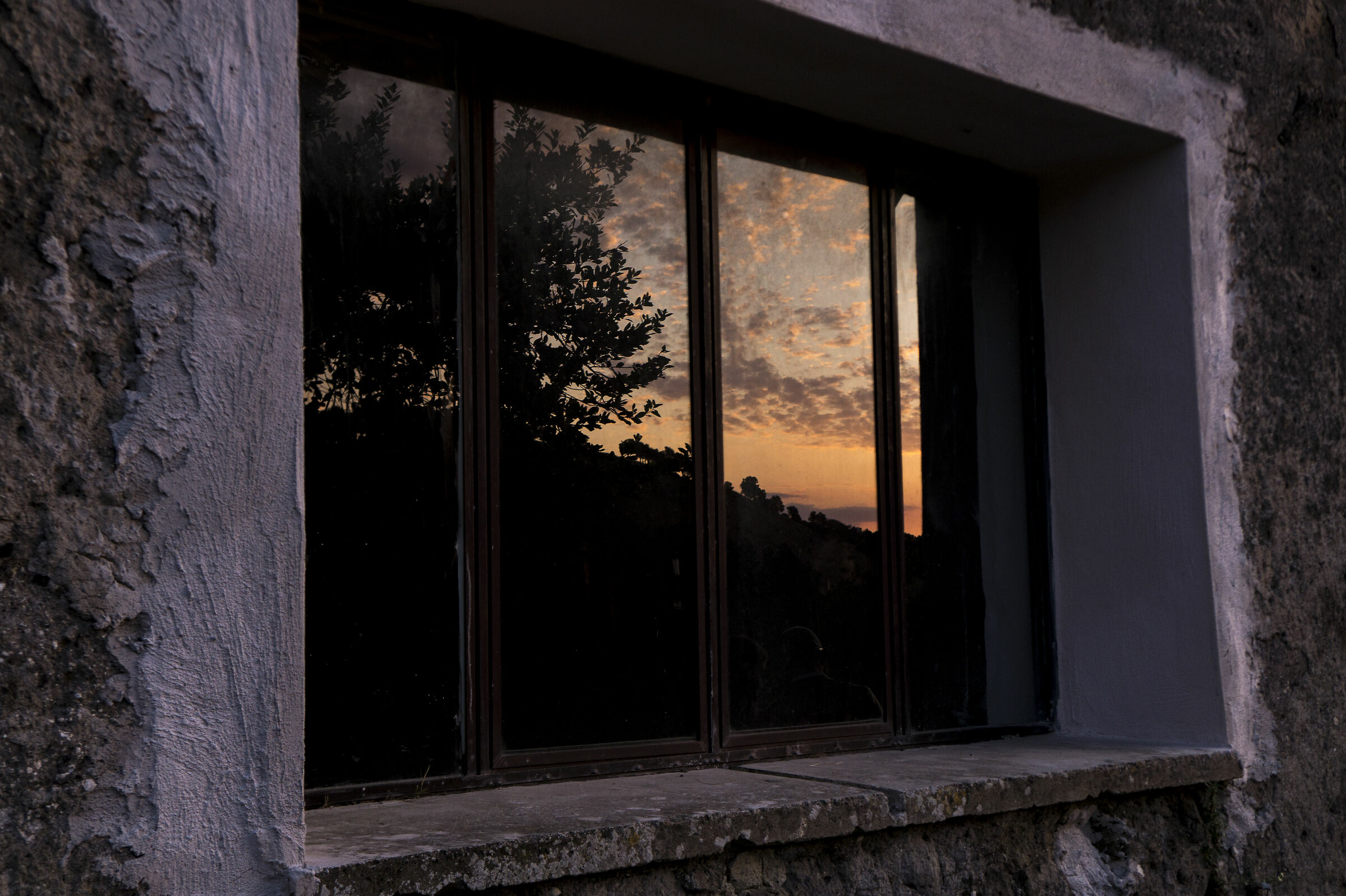Riflessi