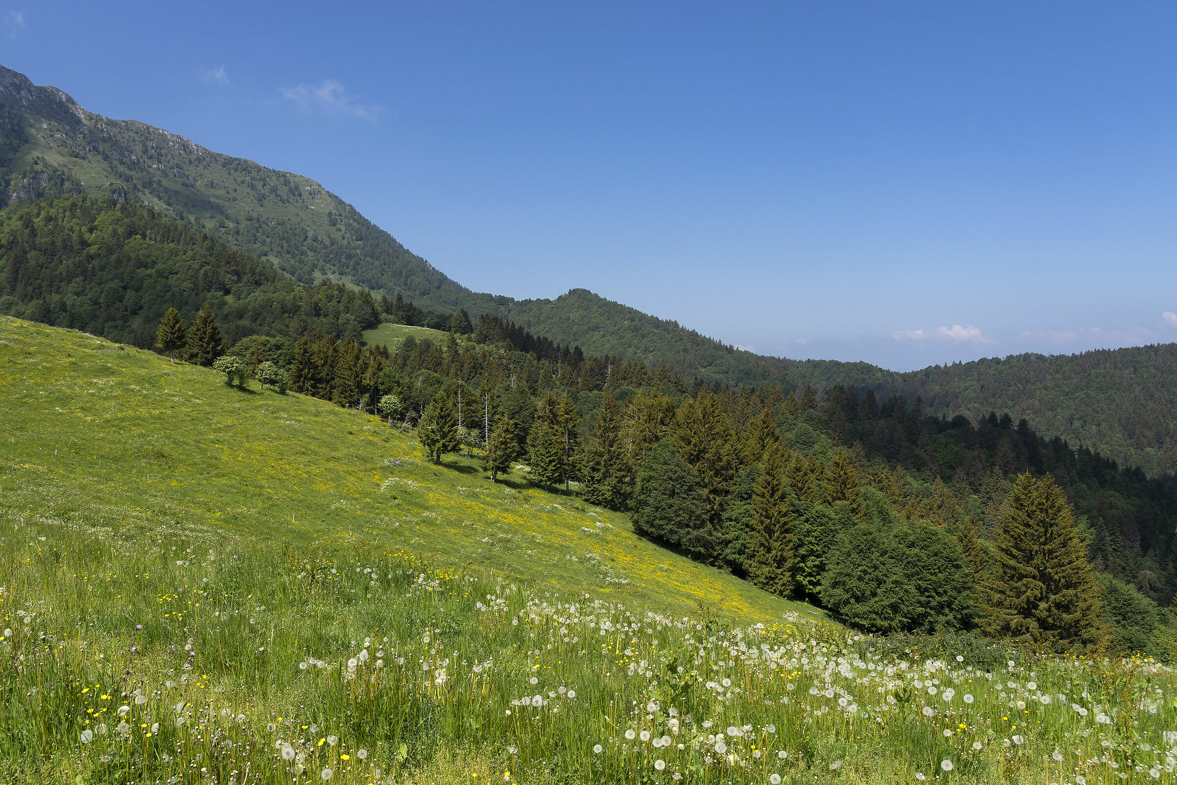 Finalmente montagna!!!