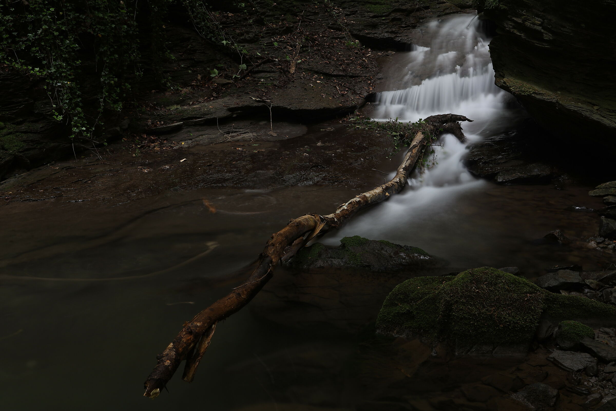 .. Archian stealed.... 2