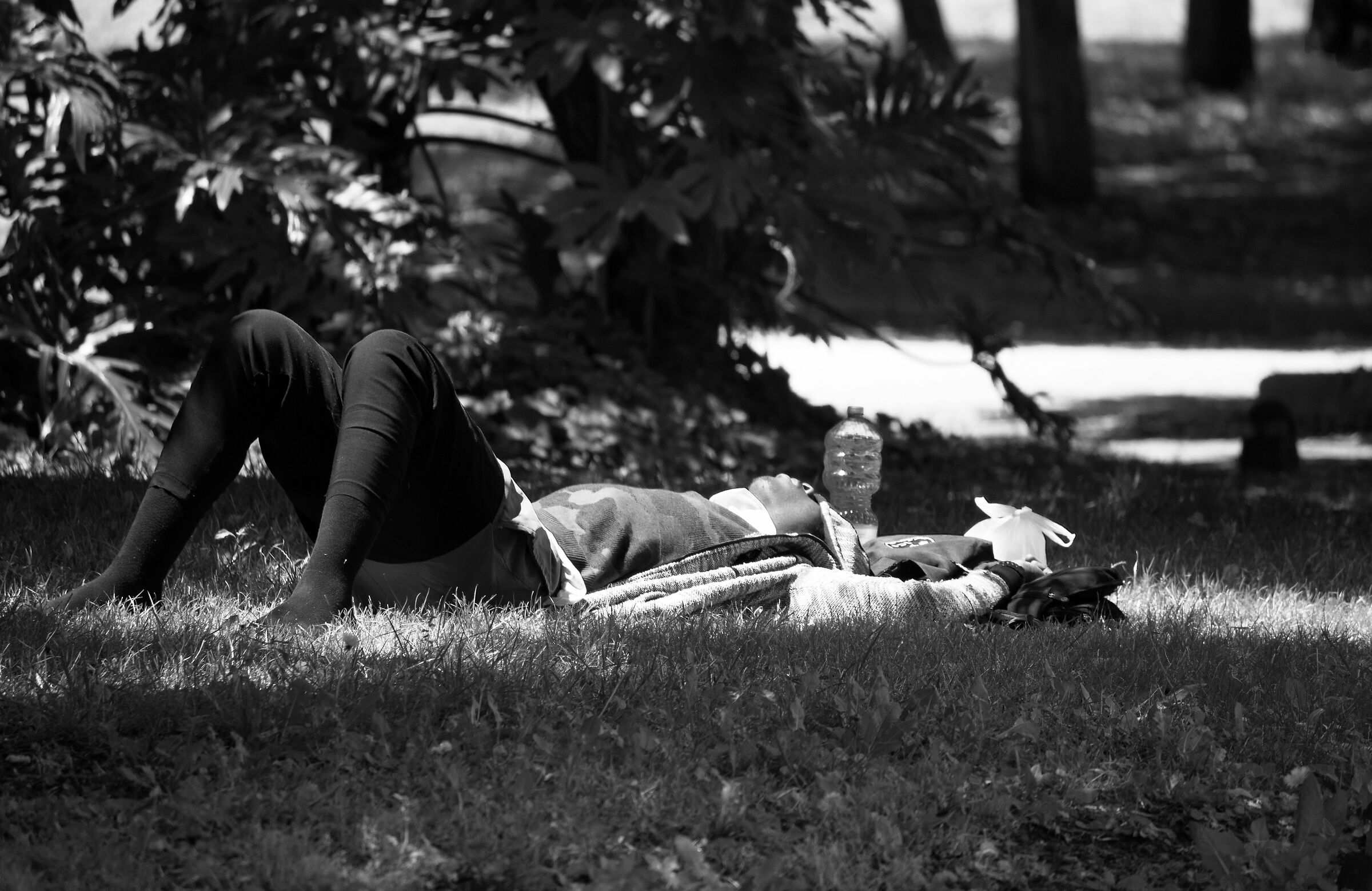 Tired under the light.