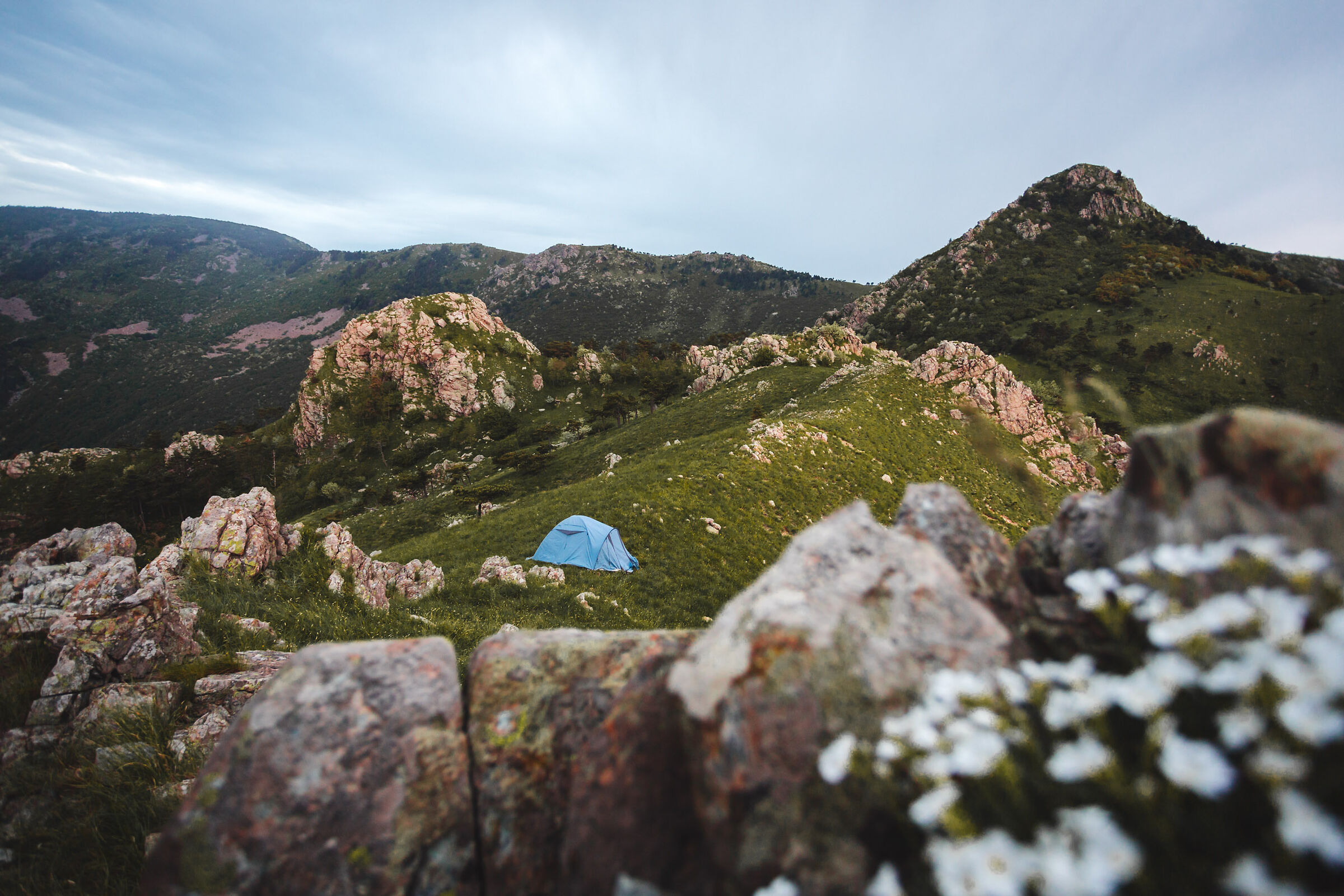 Sleeping under the Argentea 2