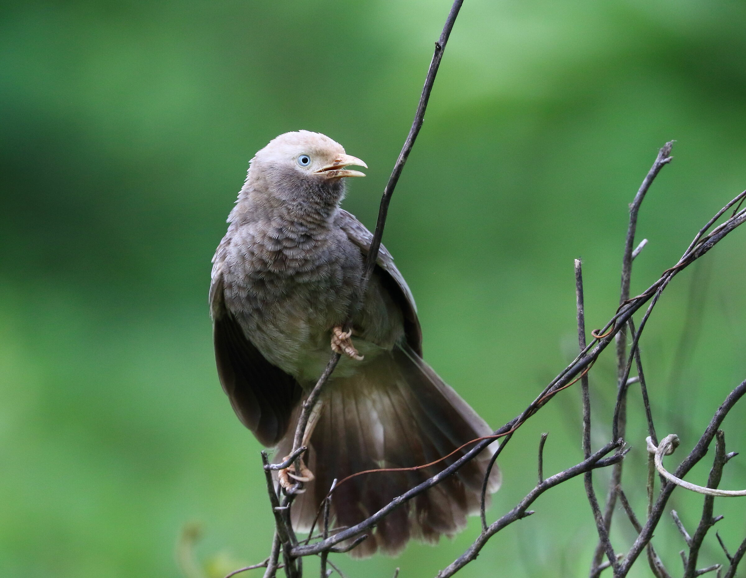 Sono passato a Canon!