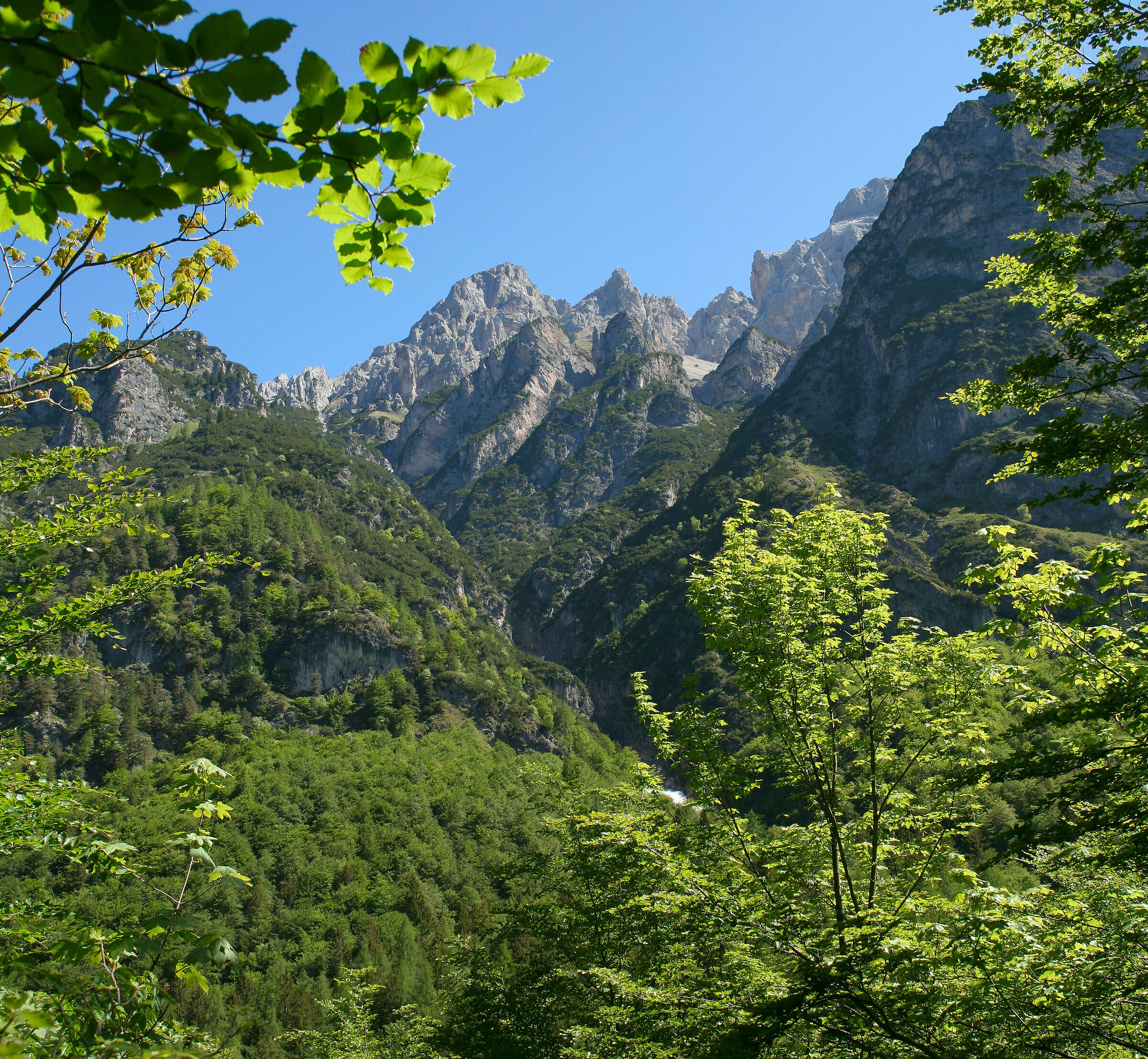Val d'Algone_Vallon_Gruppo di Brenta