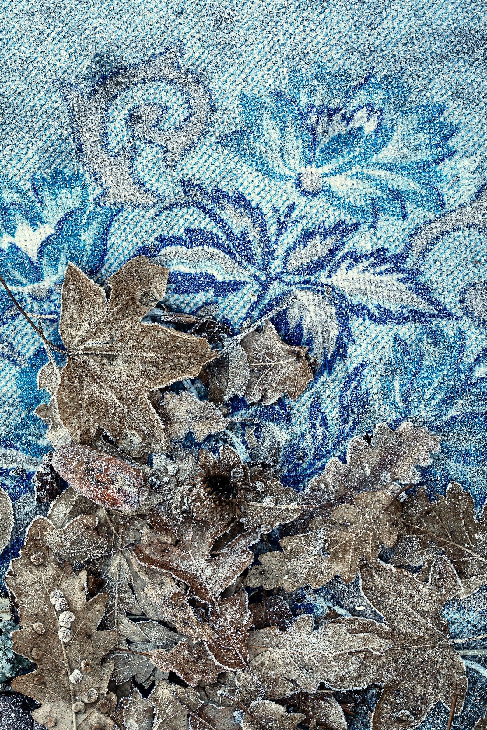 Real flowers... and fake