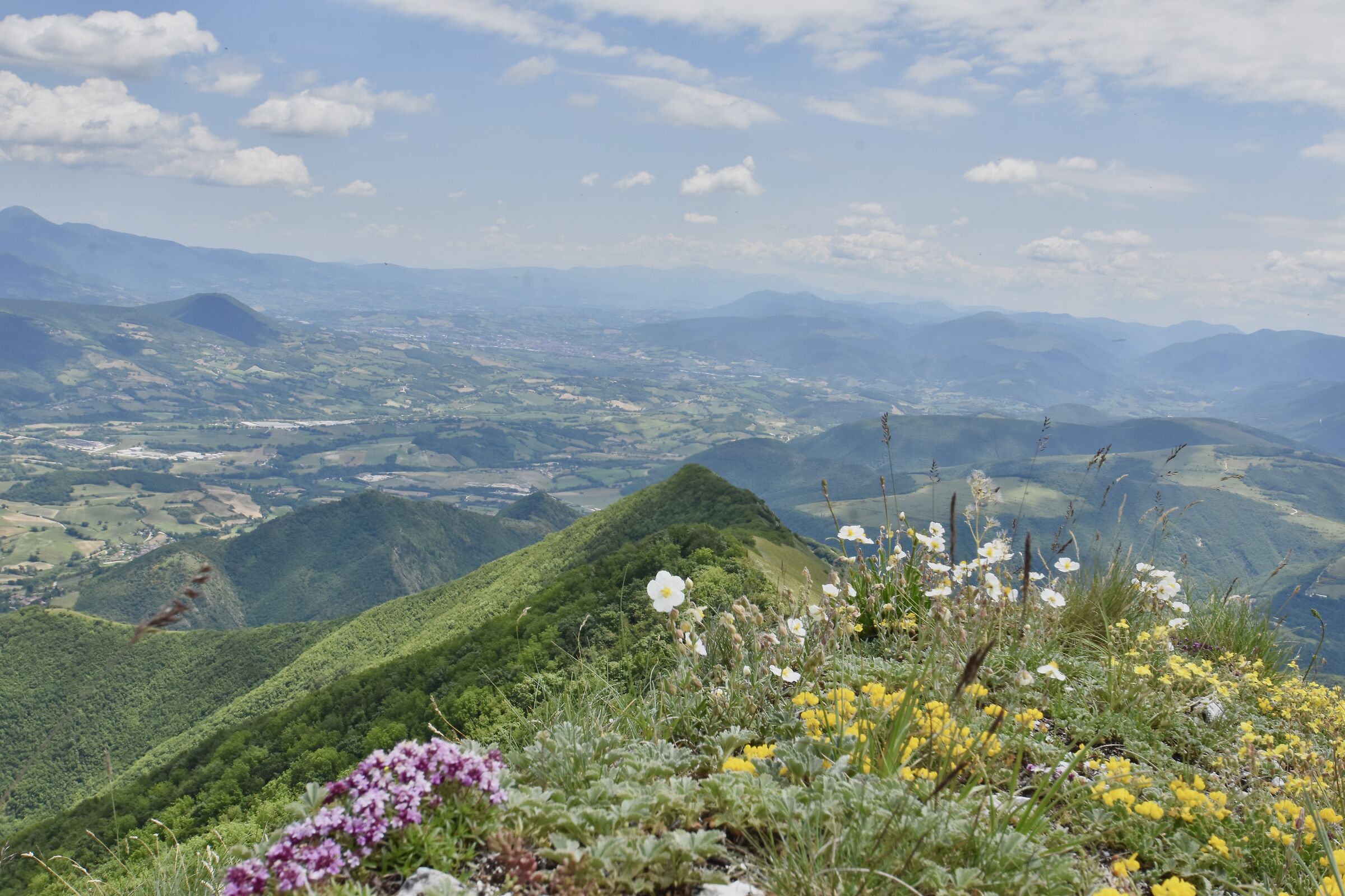 Visit Marche