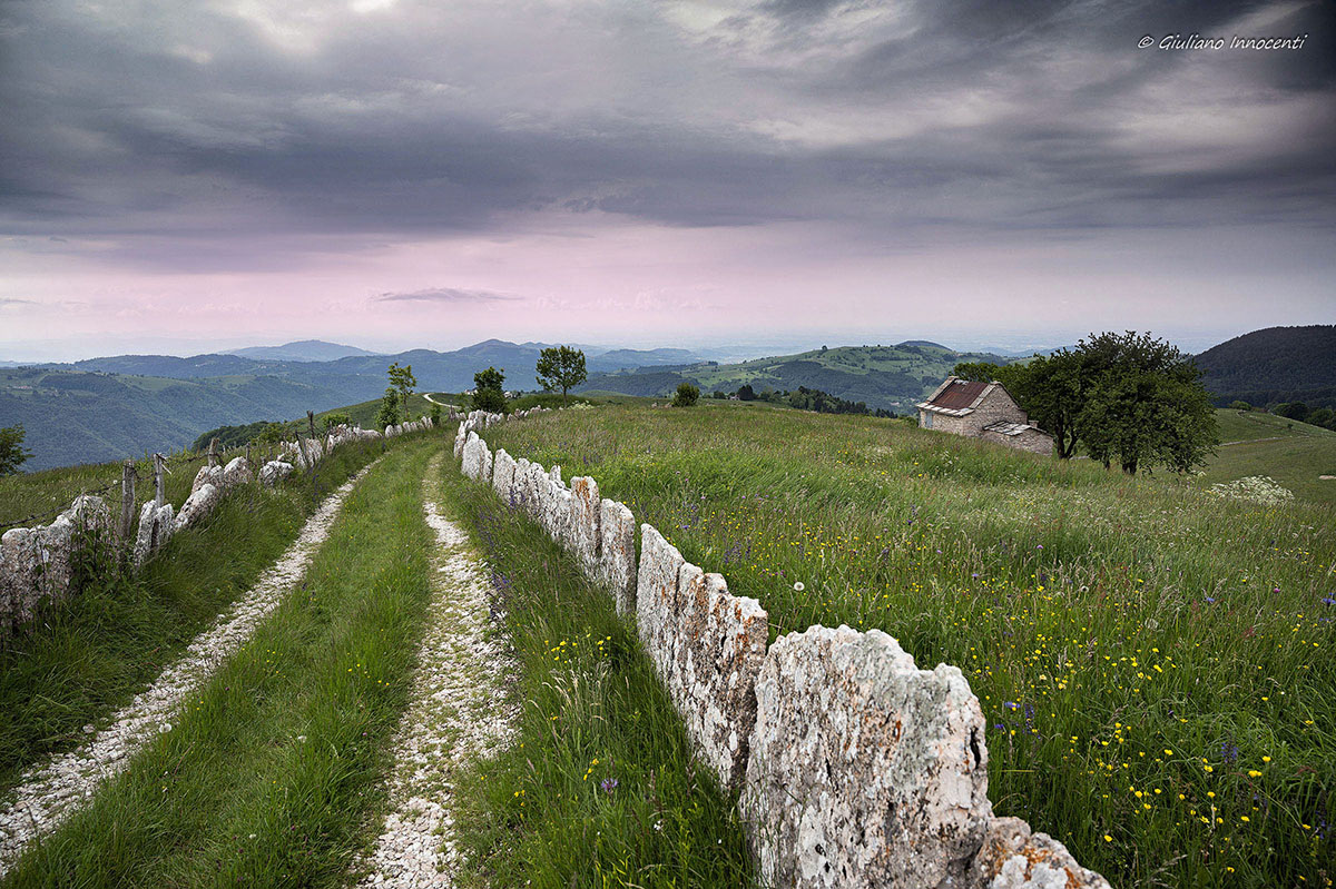 il sentiero verso casa