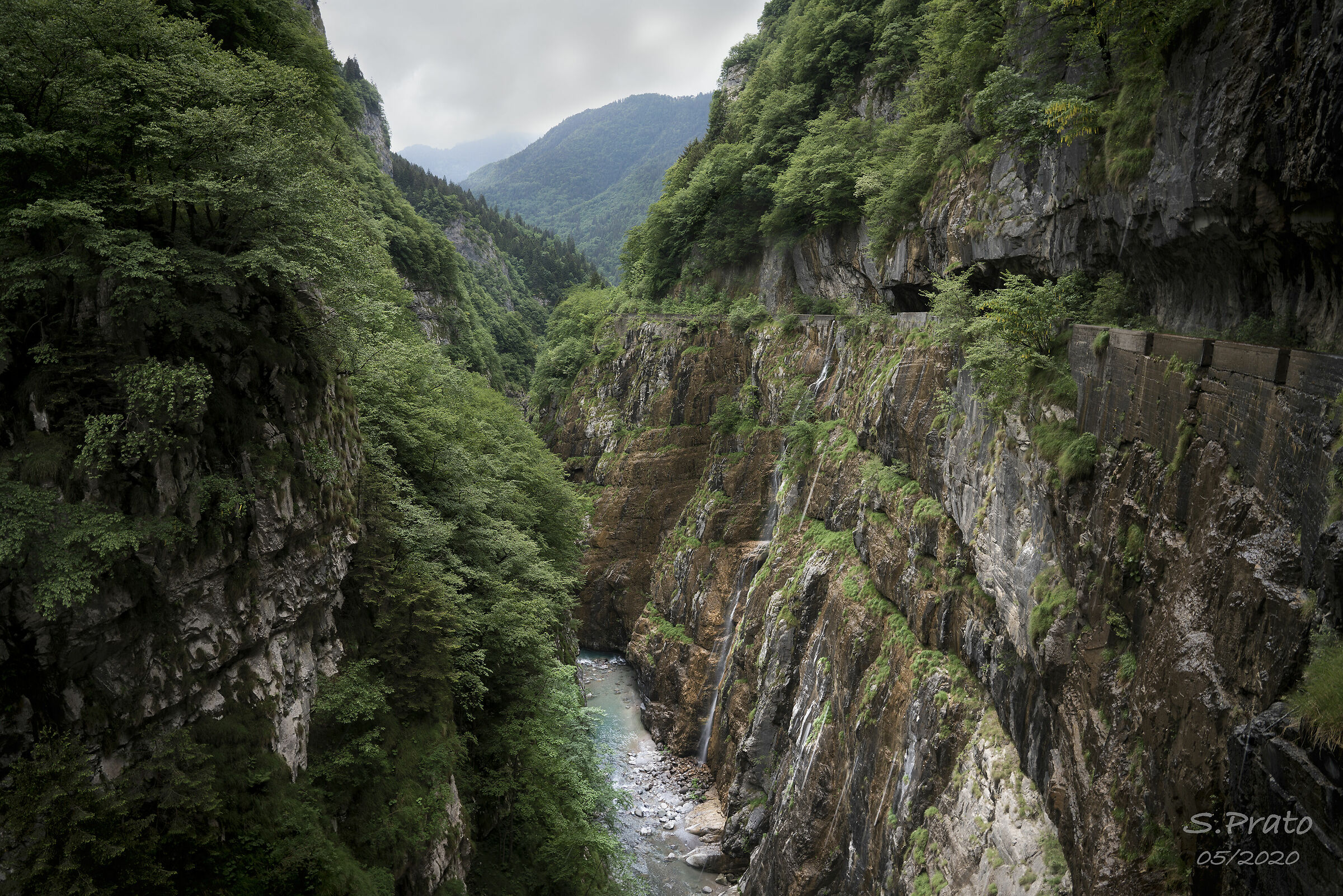 Canyon Italiani