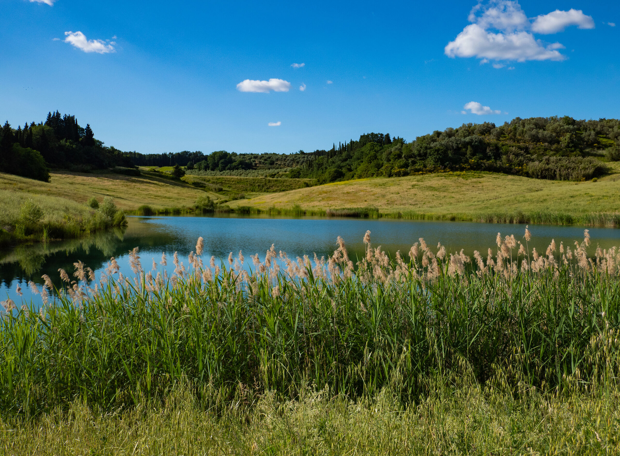 Tuscan campaign between Florence and Siena 01