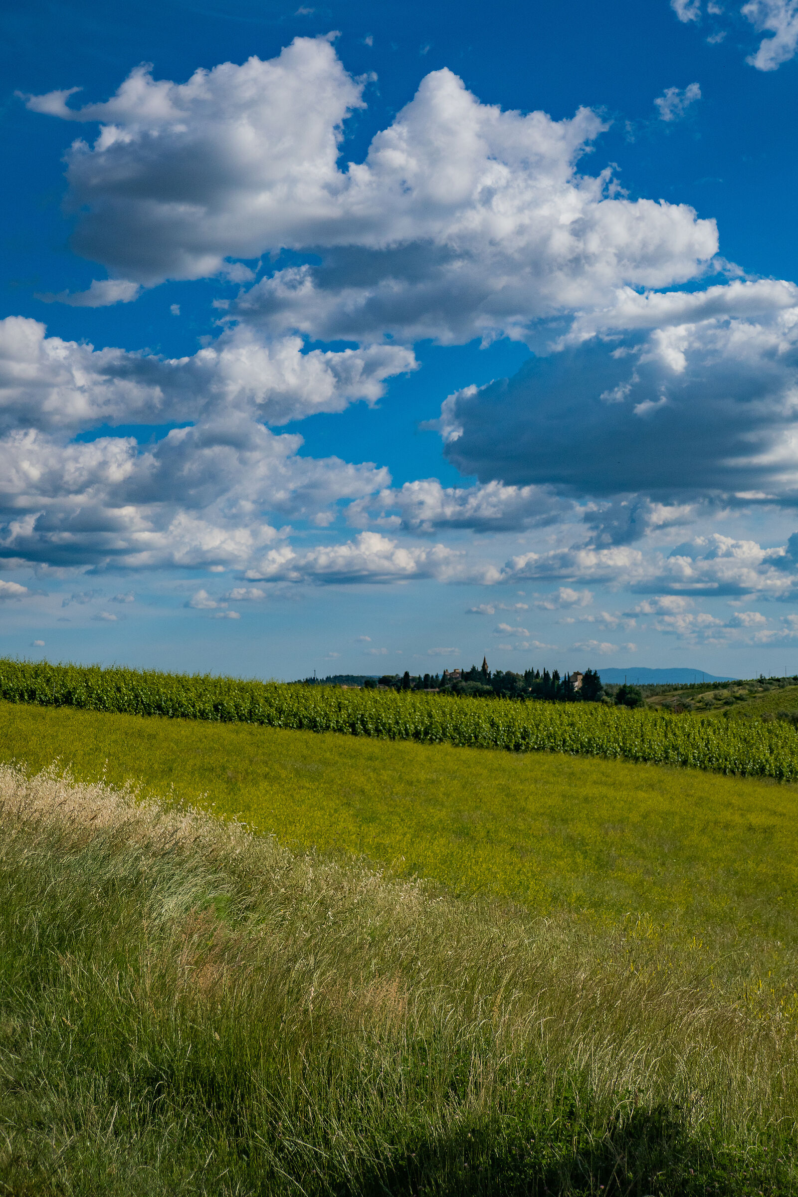 Campagna toscana tra Firenze e Siena 04