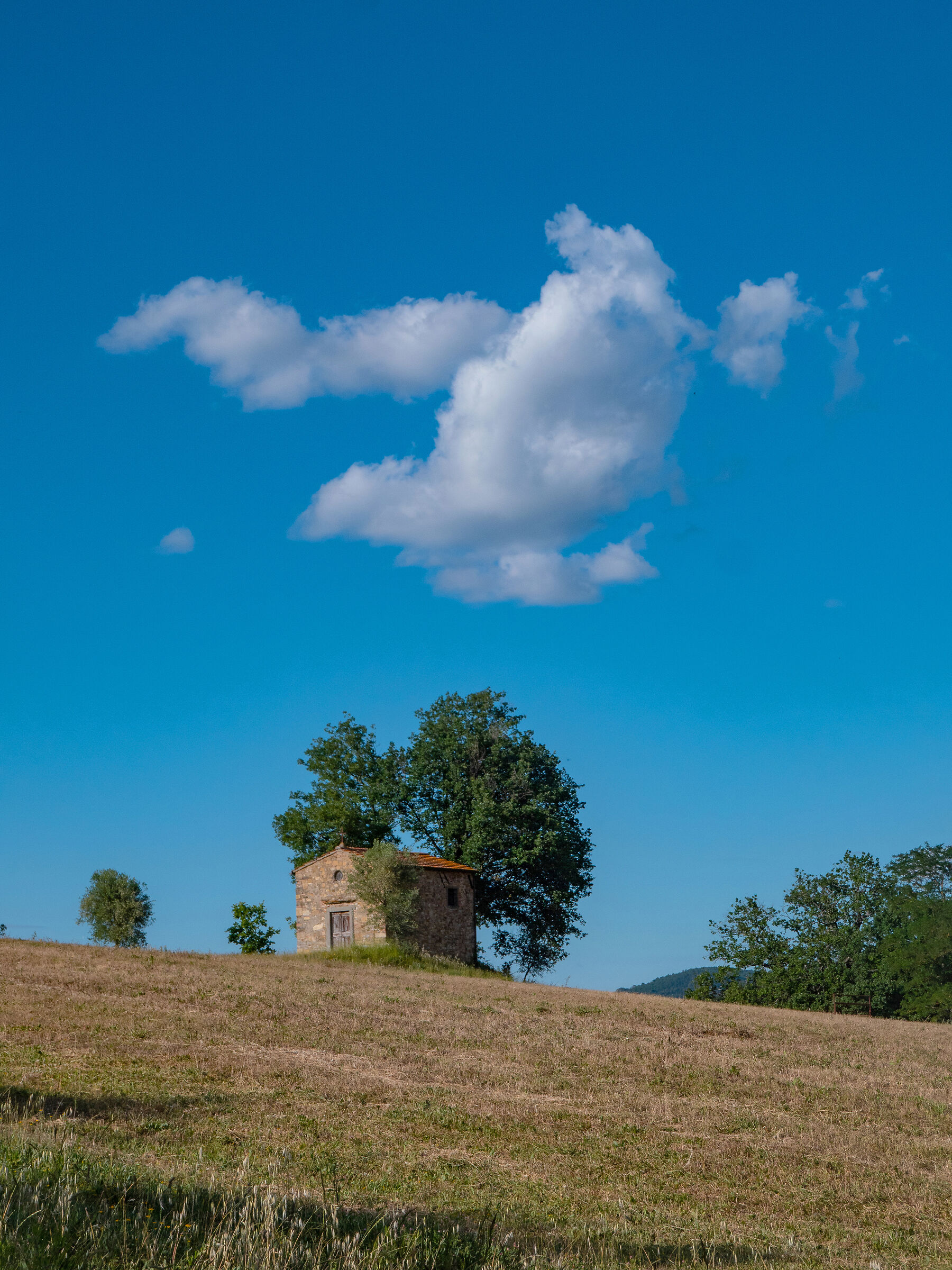Campagna toscana tra Firenze e Siena 06