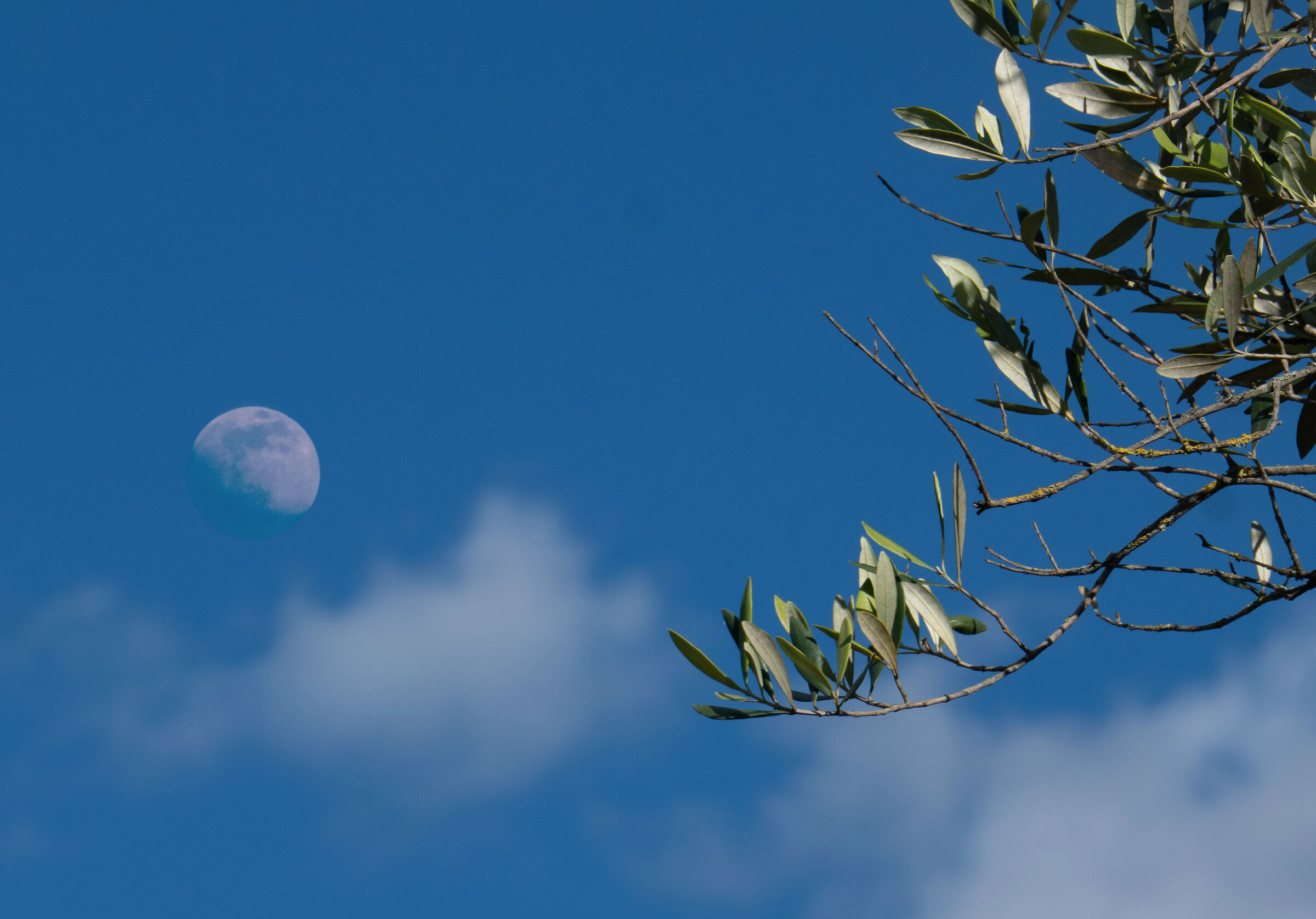 Tuscan campaign between Florence and Siena 08