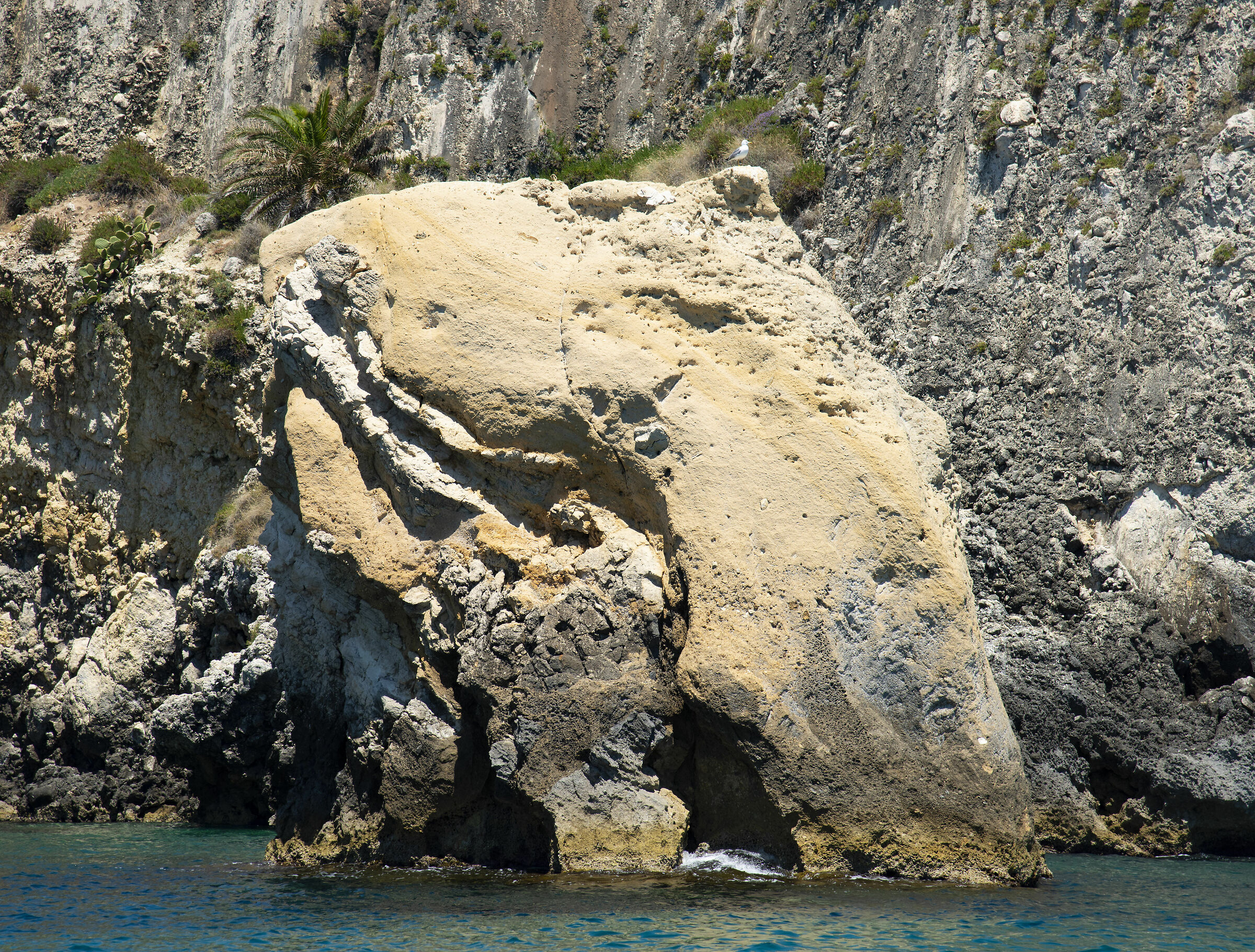 Mare di Siracusa - il delfino